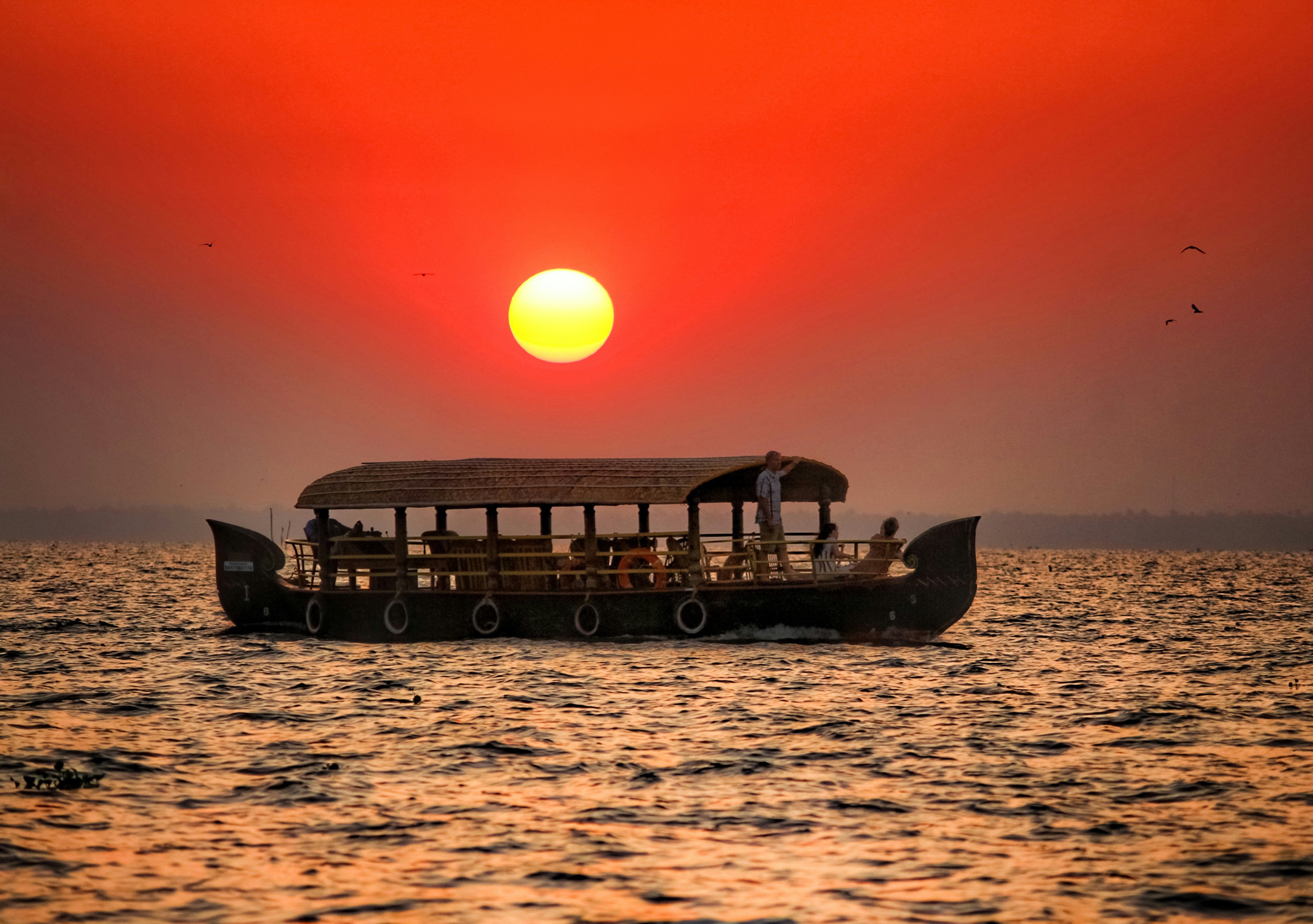 Munnar & Alappuzha Quick Escape | 3 Nights 4 Days