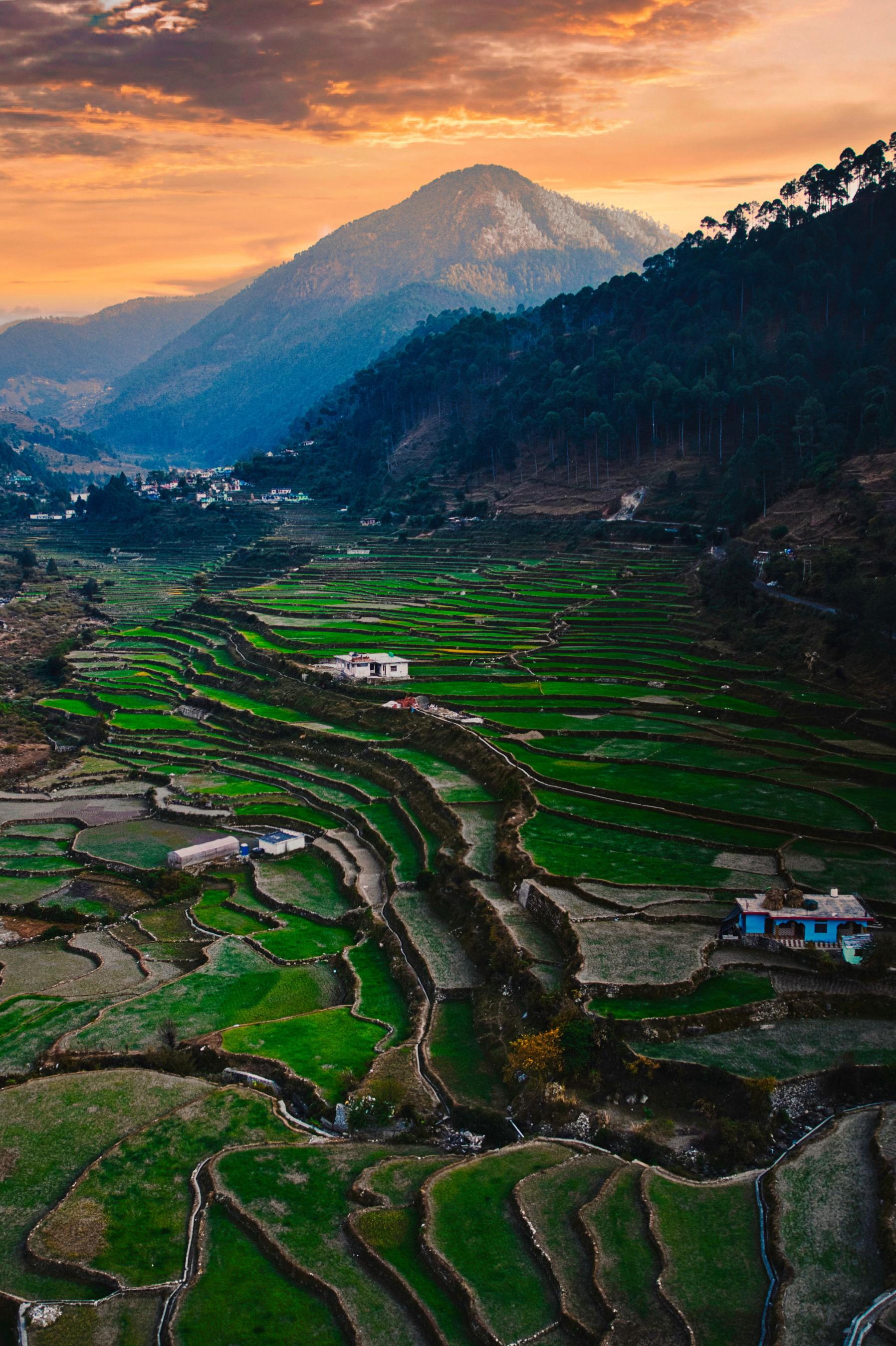 Mukteshwar & Binsar Offbeat Escape | 4 Nights 5 Days