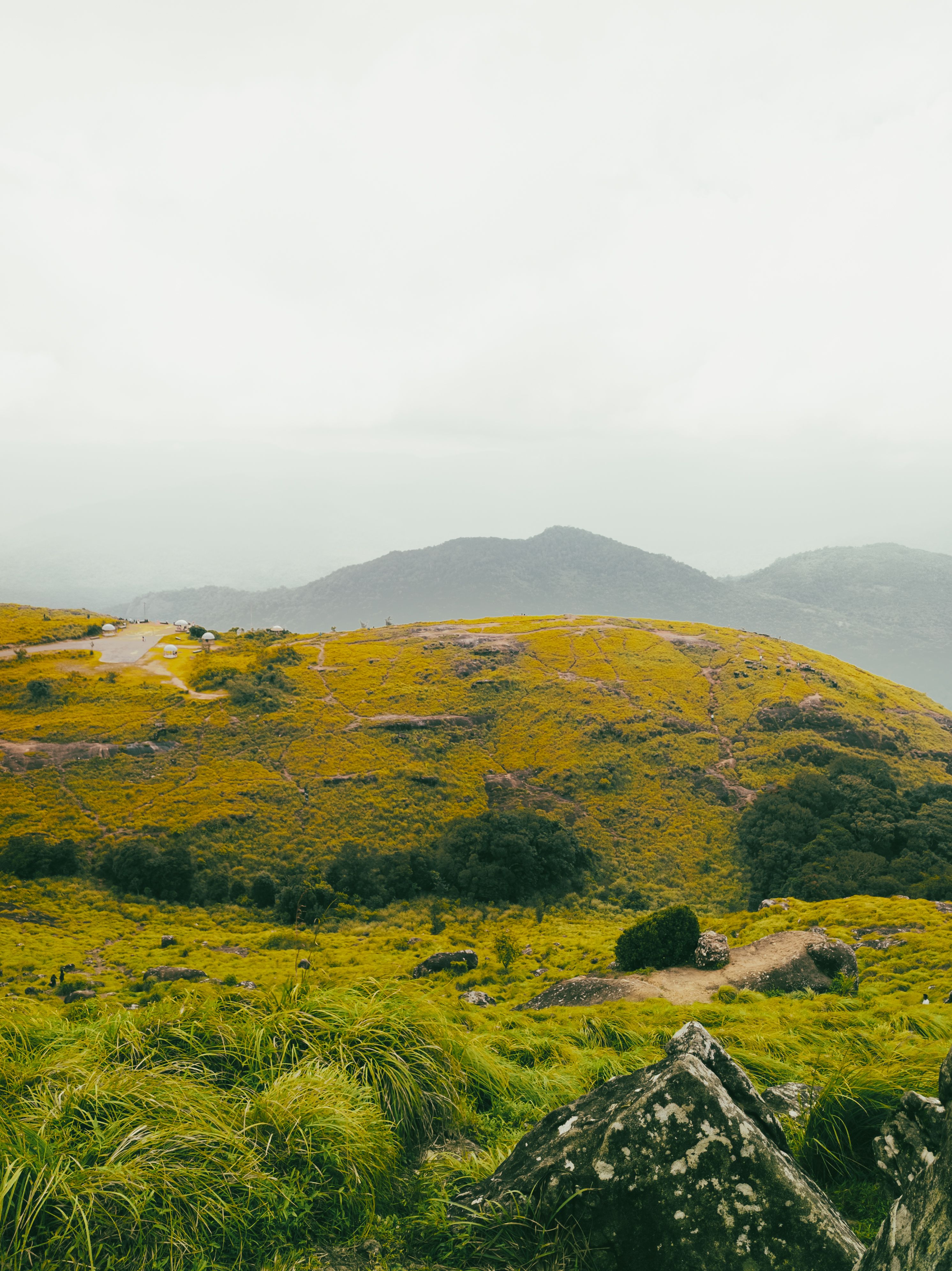 Kochi to Vagamon photo 1