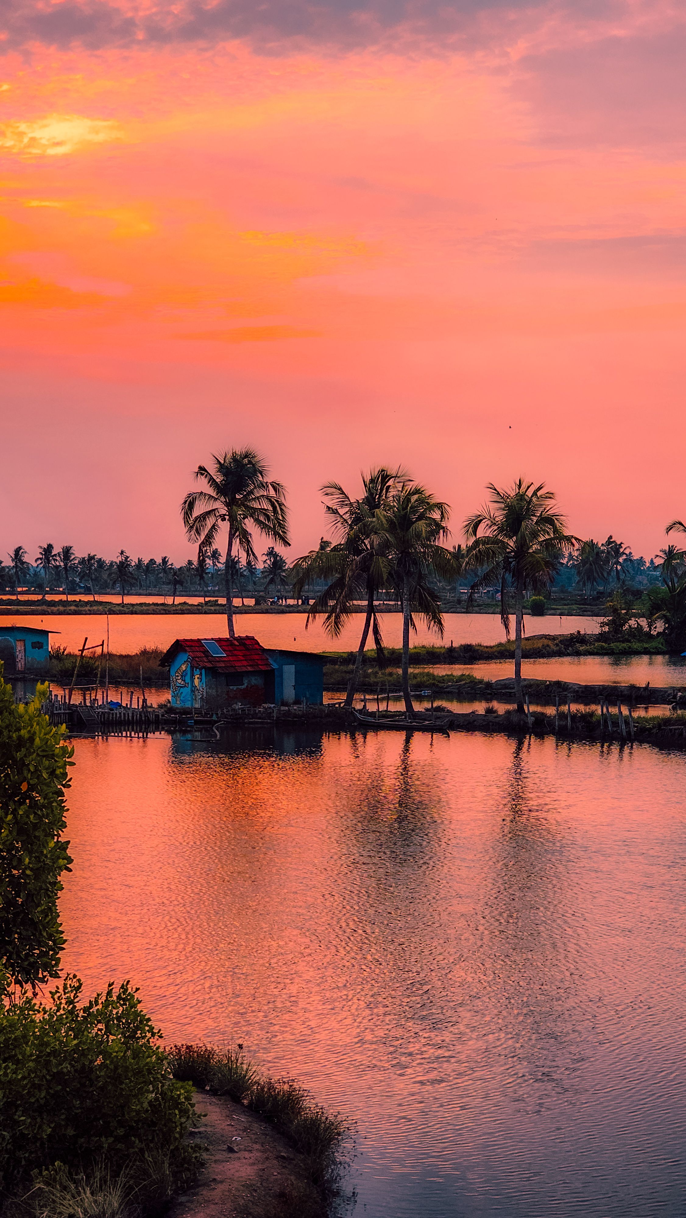 Alappuzha to Kochi photo 1