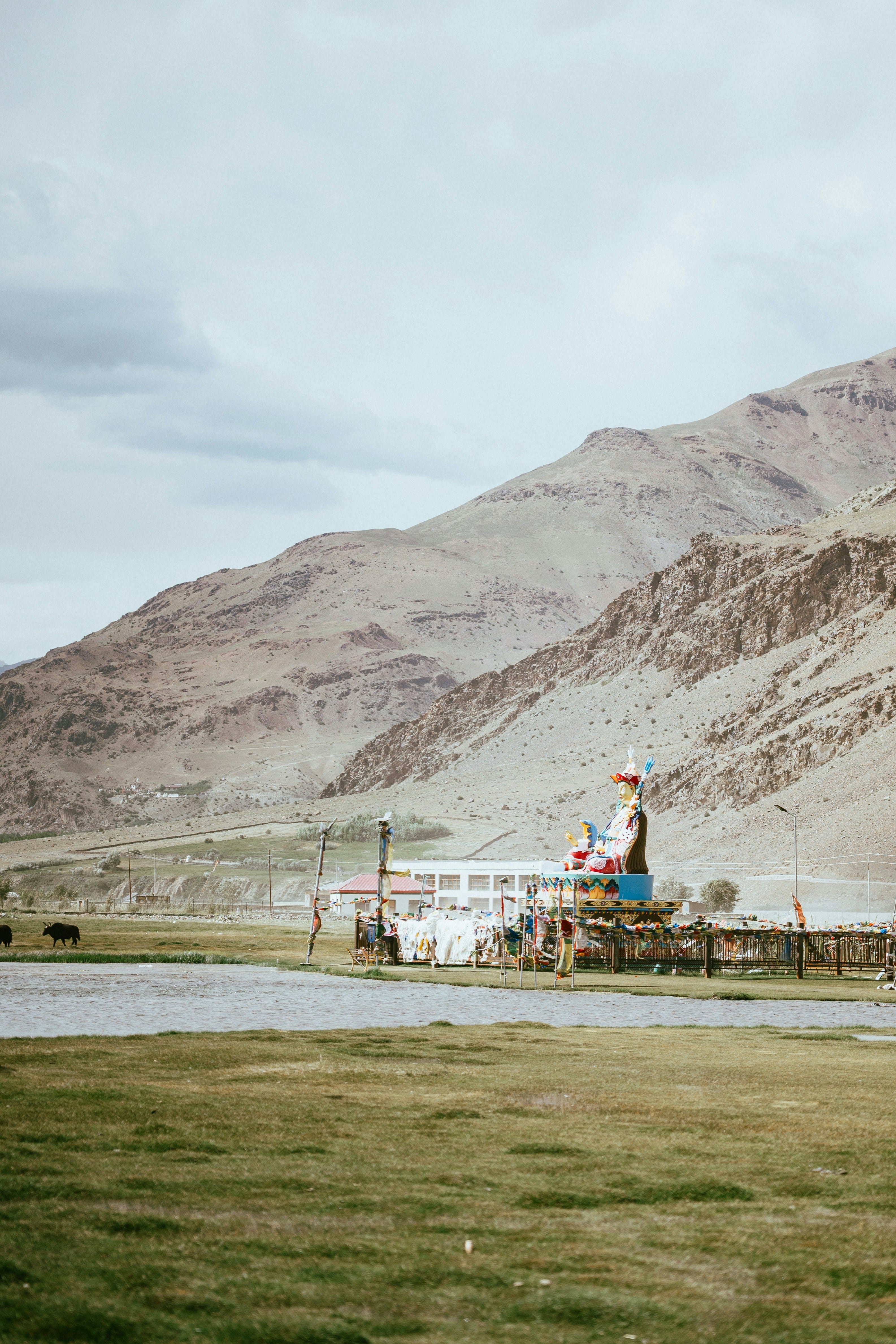 Pangong Tso to Leh