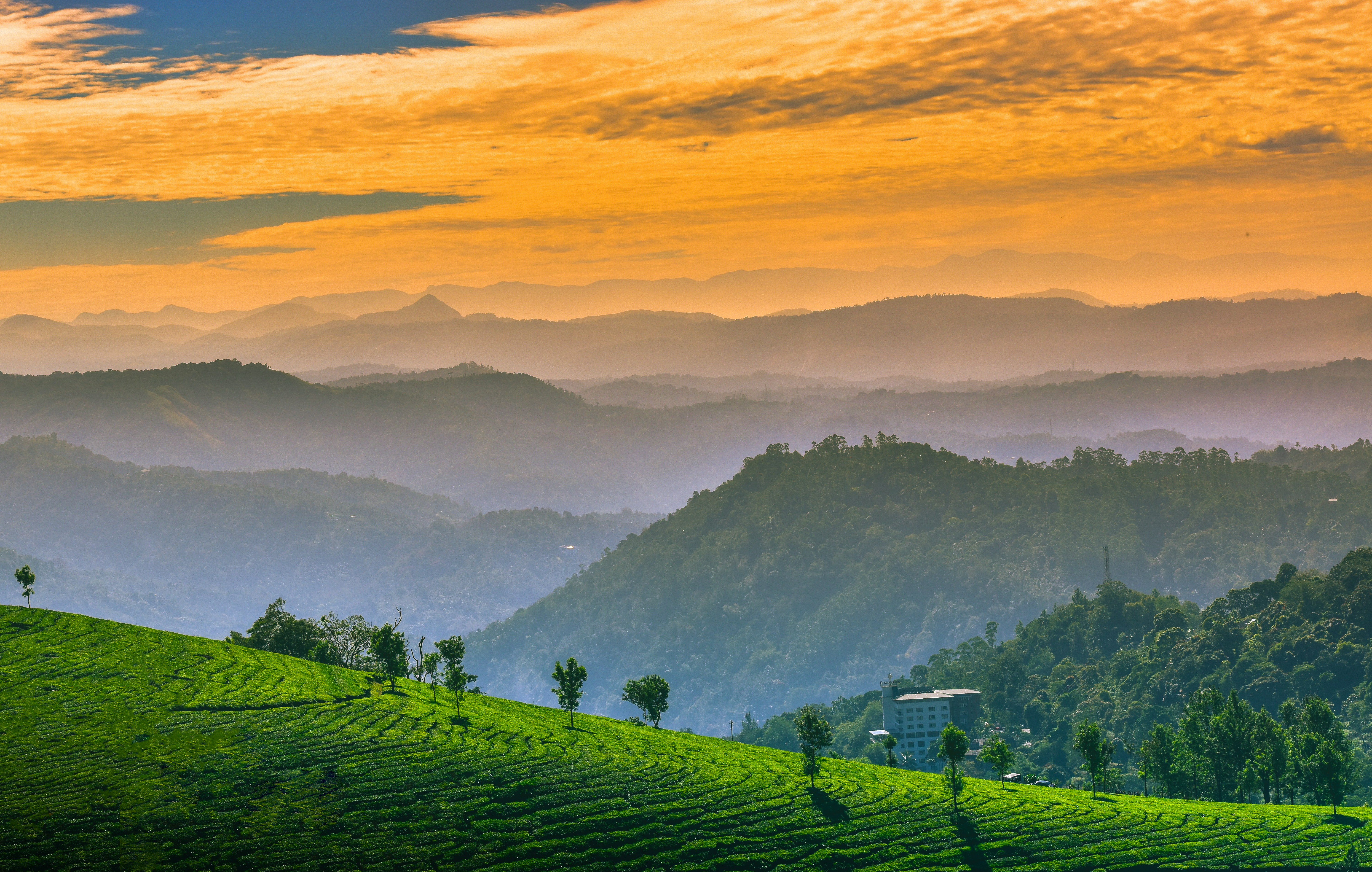 Wayanad to Kozhikode