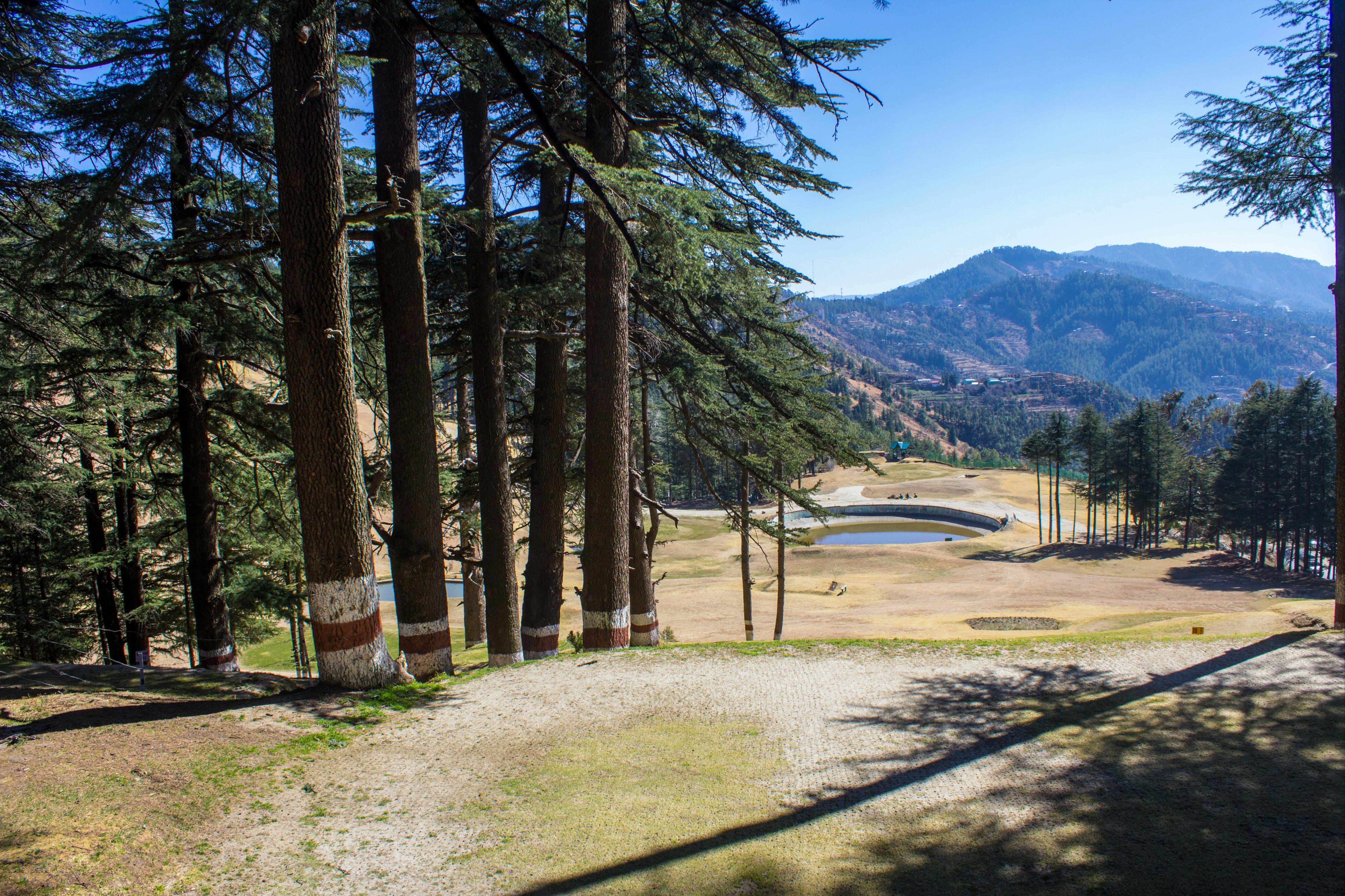 Chandigarh to Kasauli photo 2