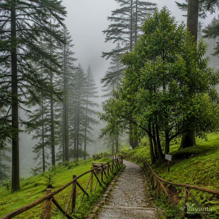 Kempty Falls and Dhanaulti photo 1
