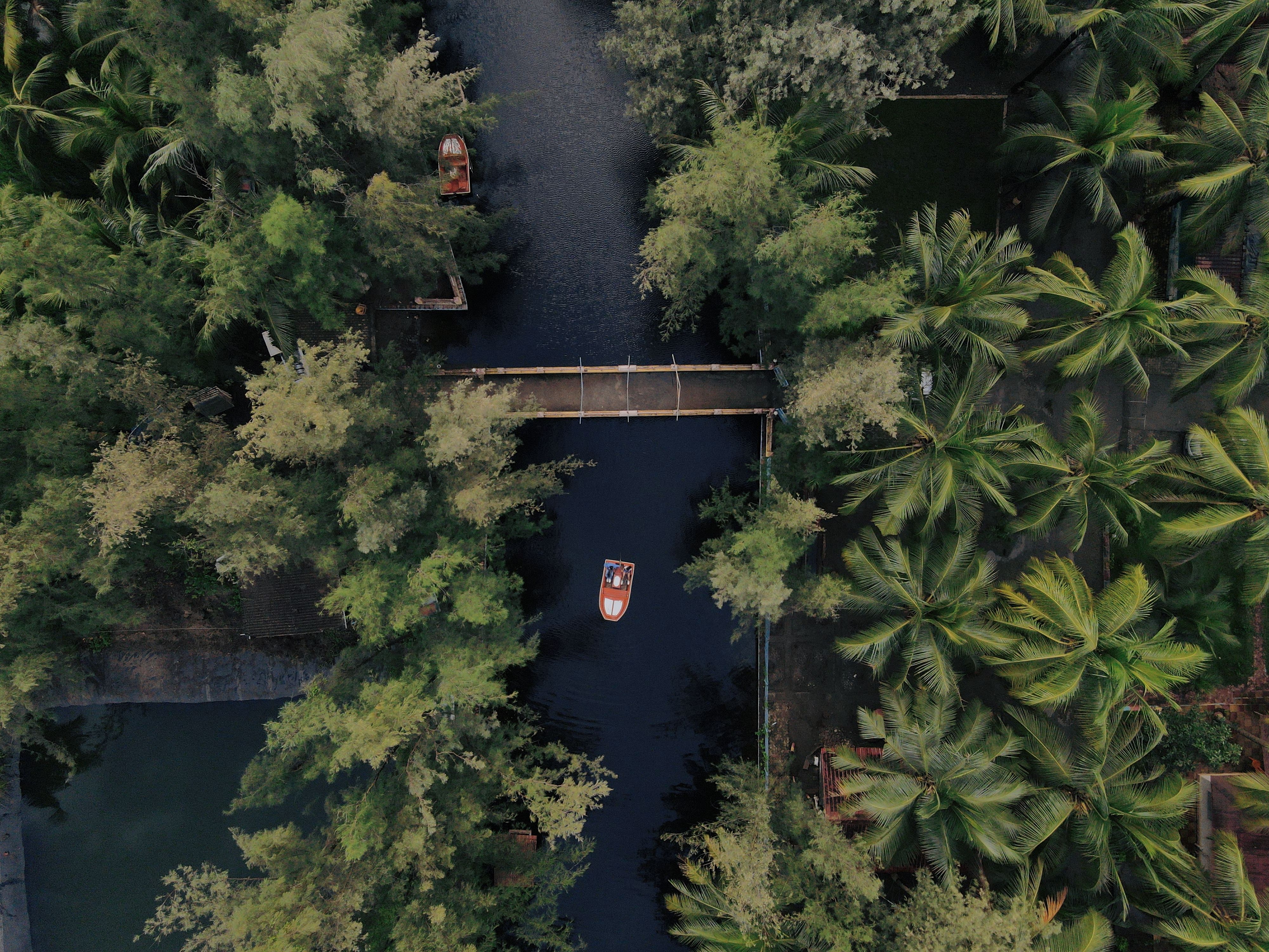 Wayanad Nature Escape | 3 Nights 4 Days