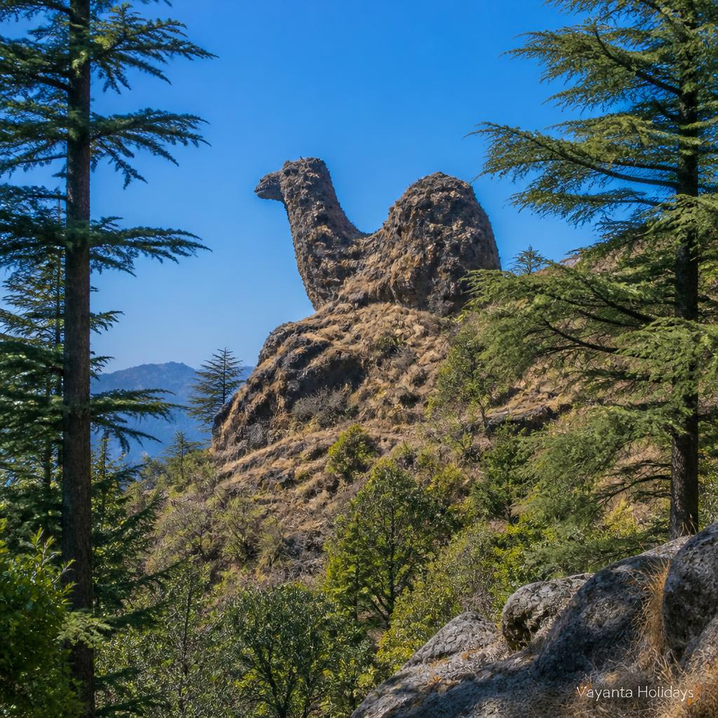 Mussoorie to Delhi