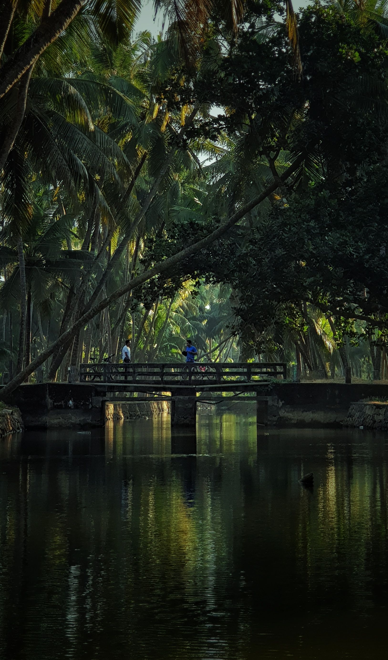 Wayanad Heritage Day photo 1