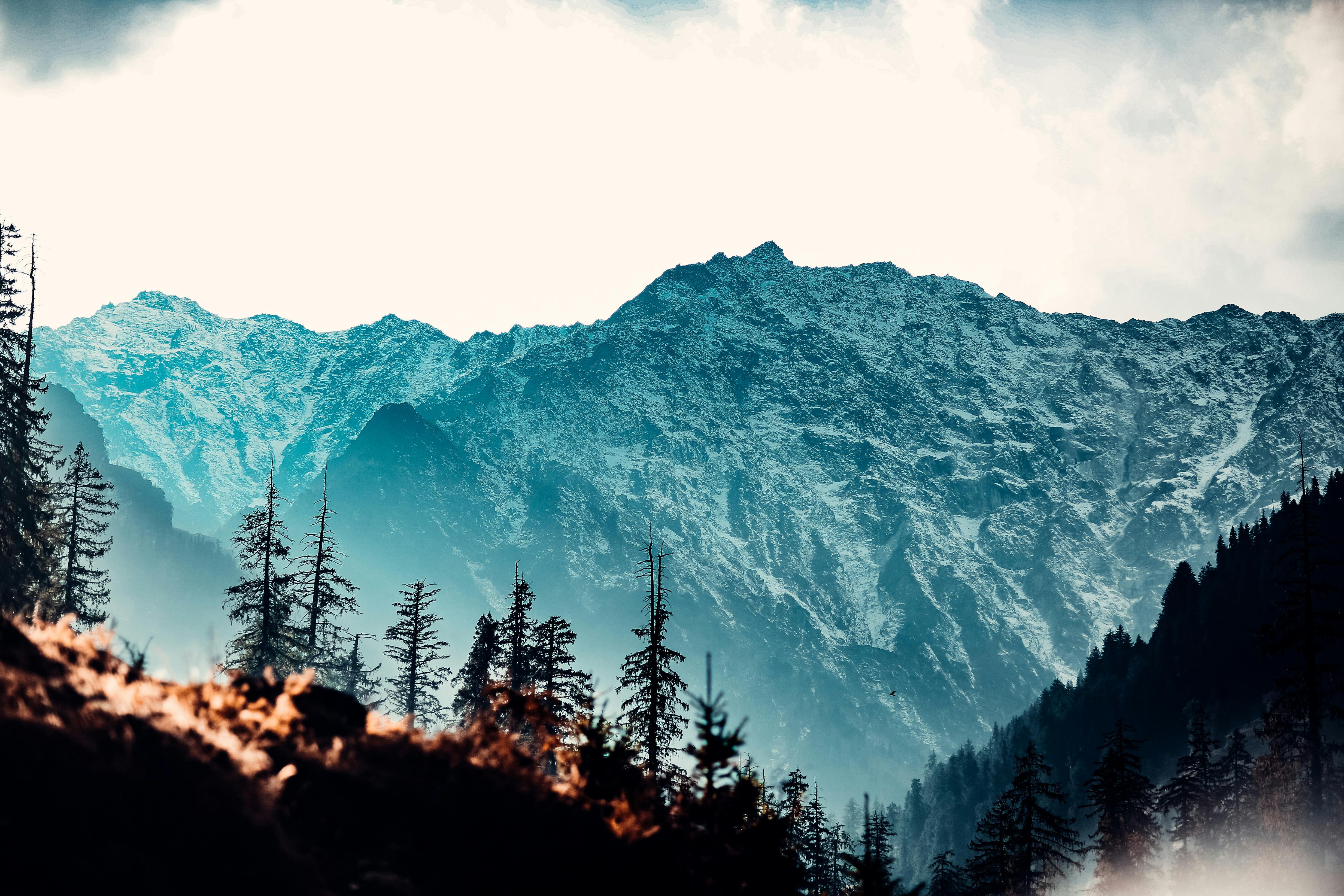 Private Chandigarh to Manali photo 1