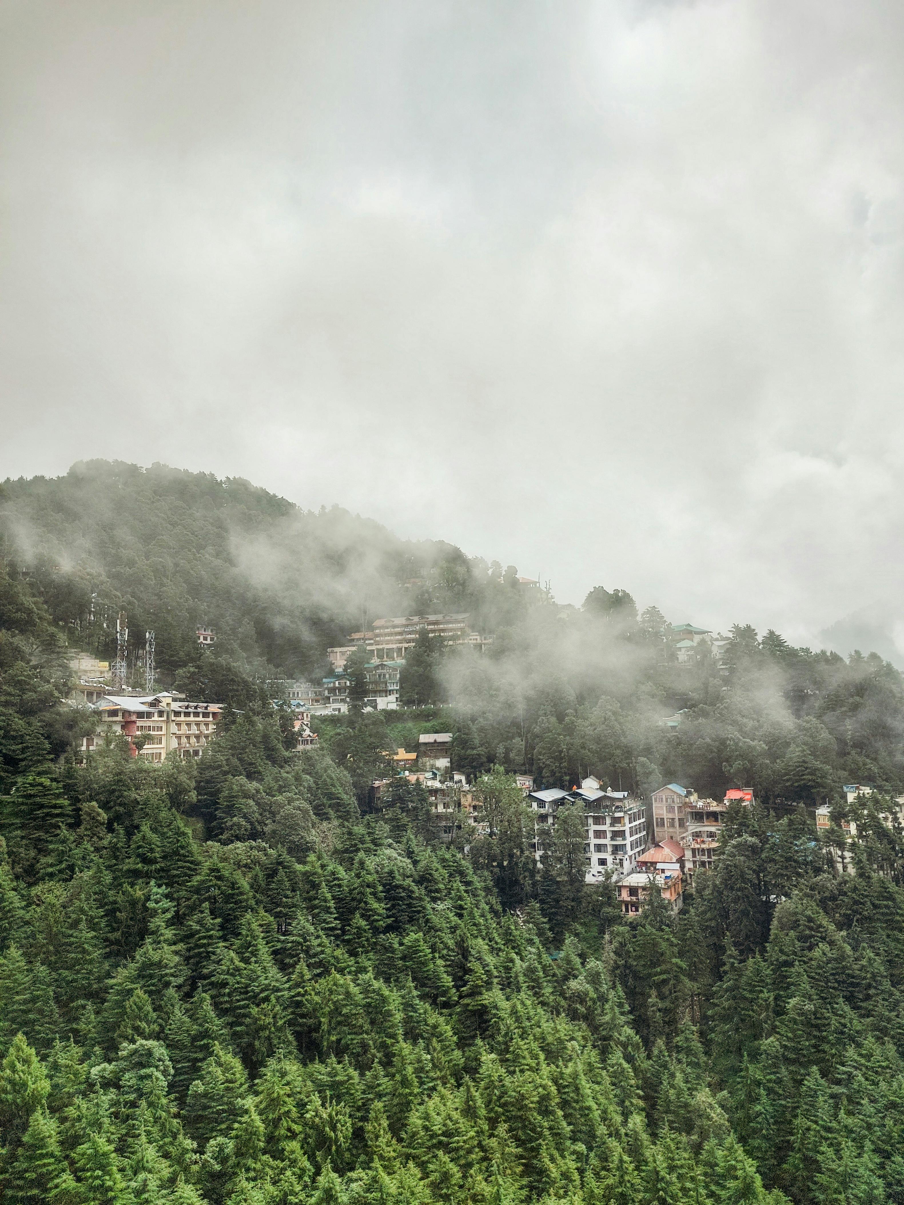 Pathankot to Dalhousie photo 2