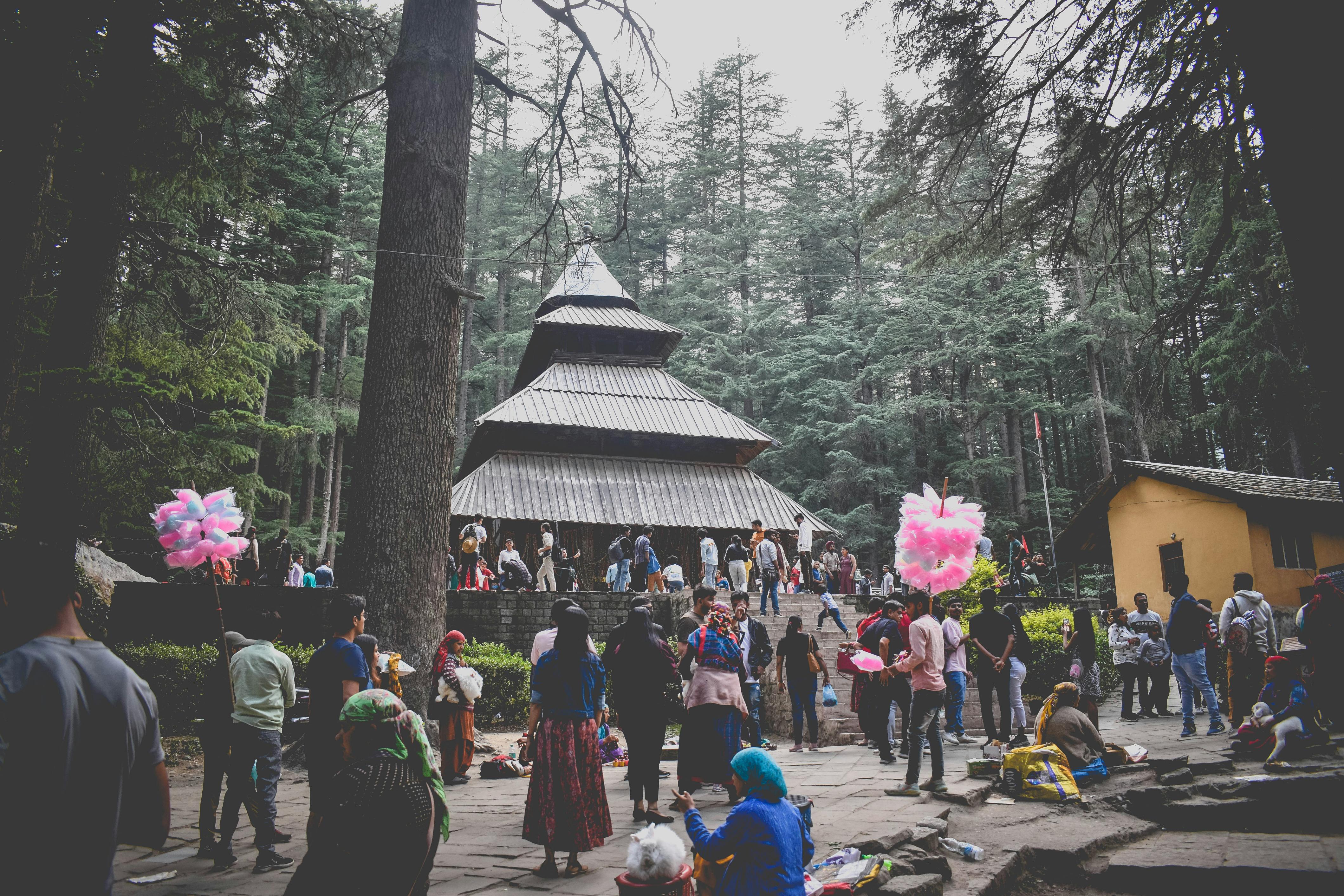 Manali Heritage and Spa Time photo 1