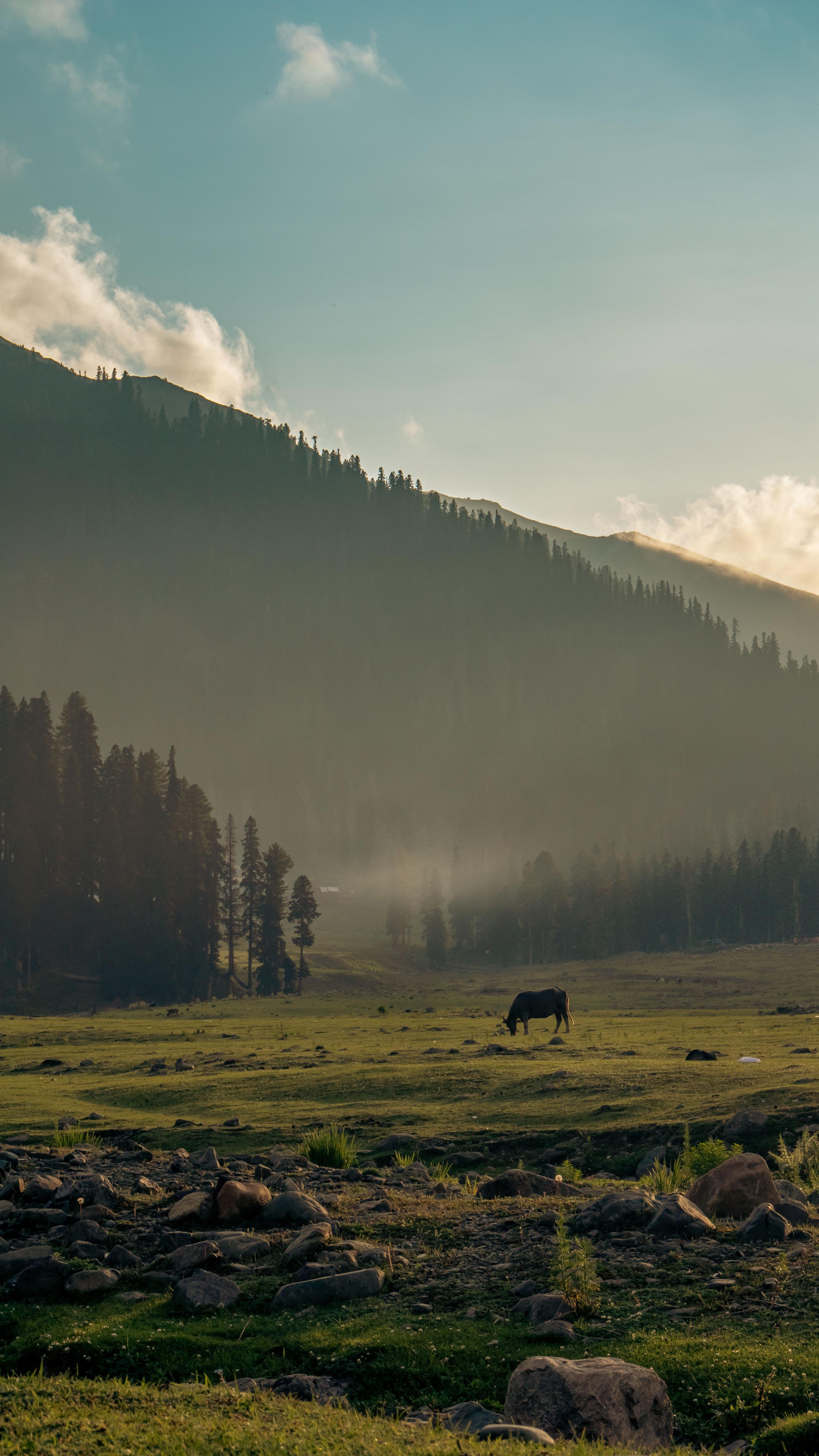 Dalhousie to Chamba