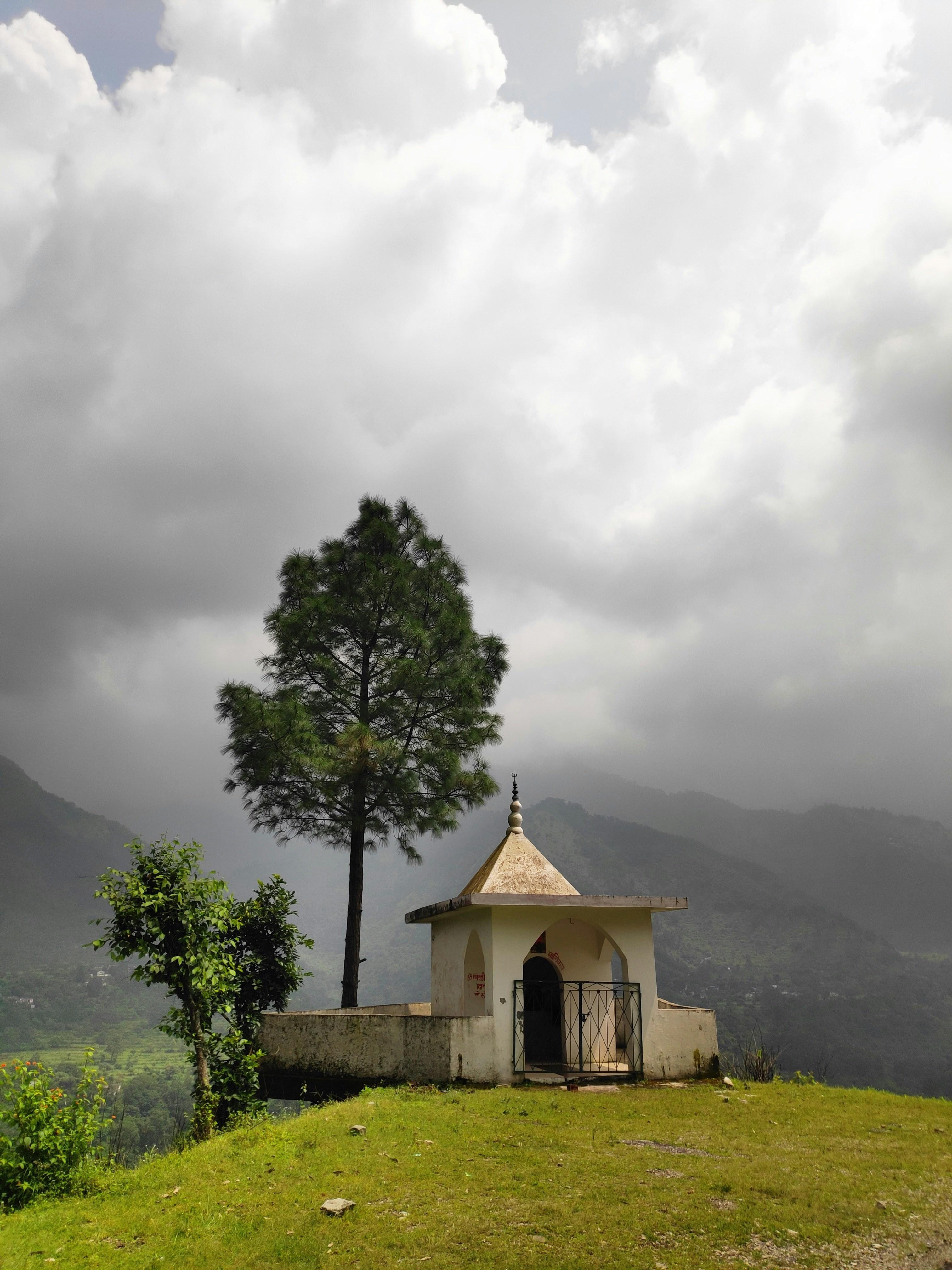 Binsar to Delhi photo 2