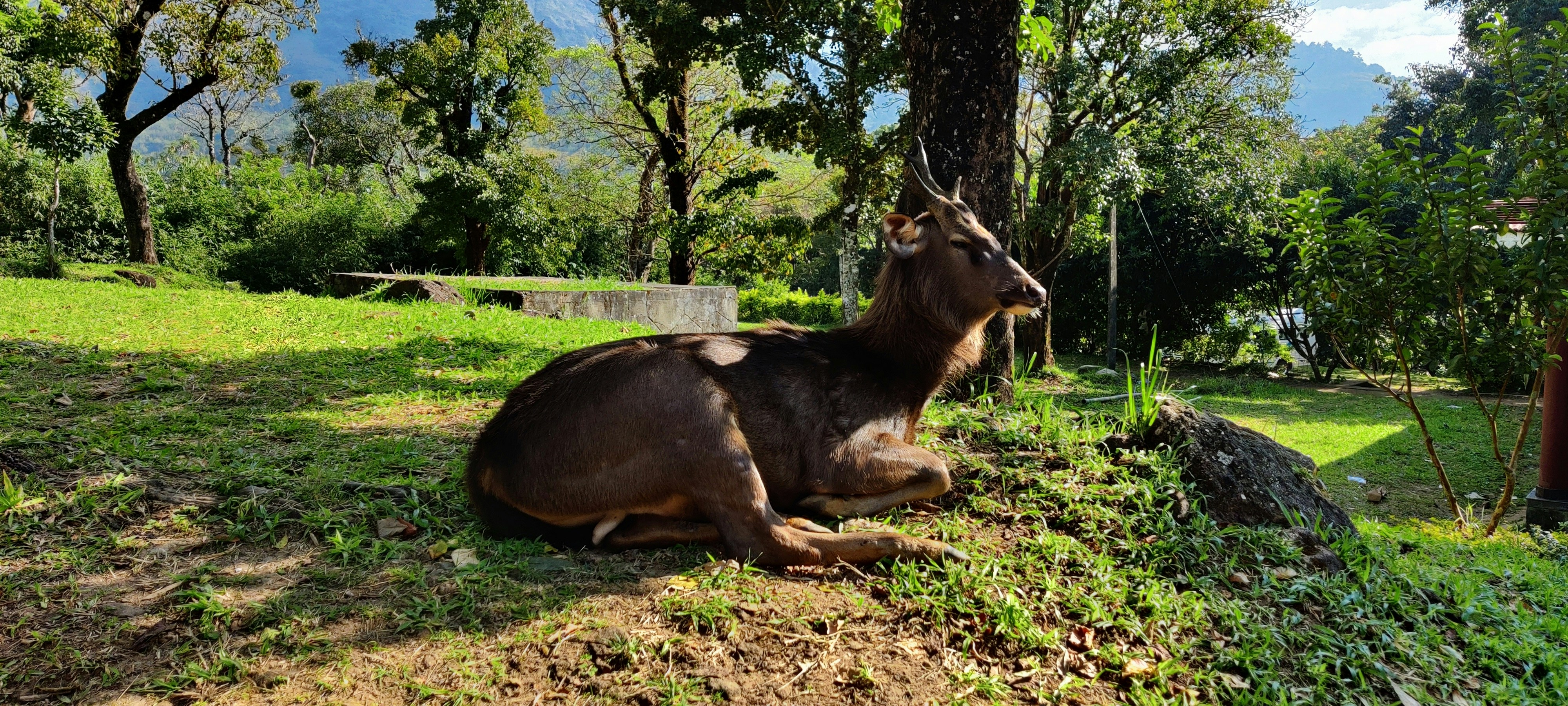 Munnar Family Sights photo 1