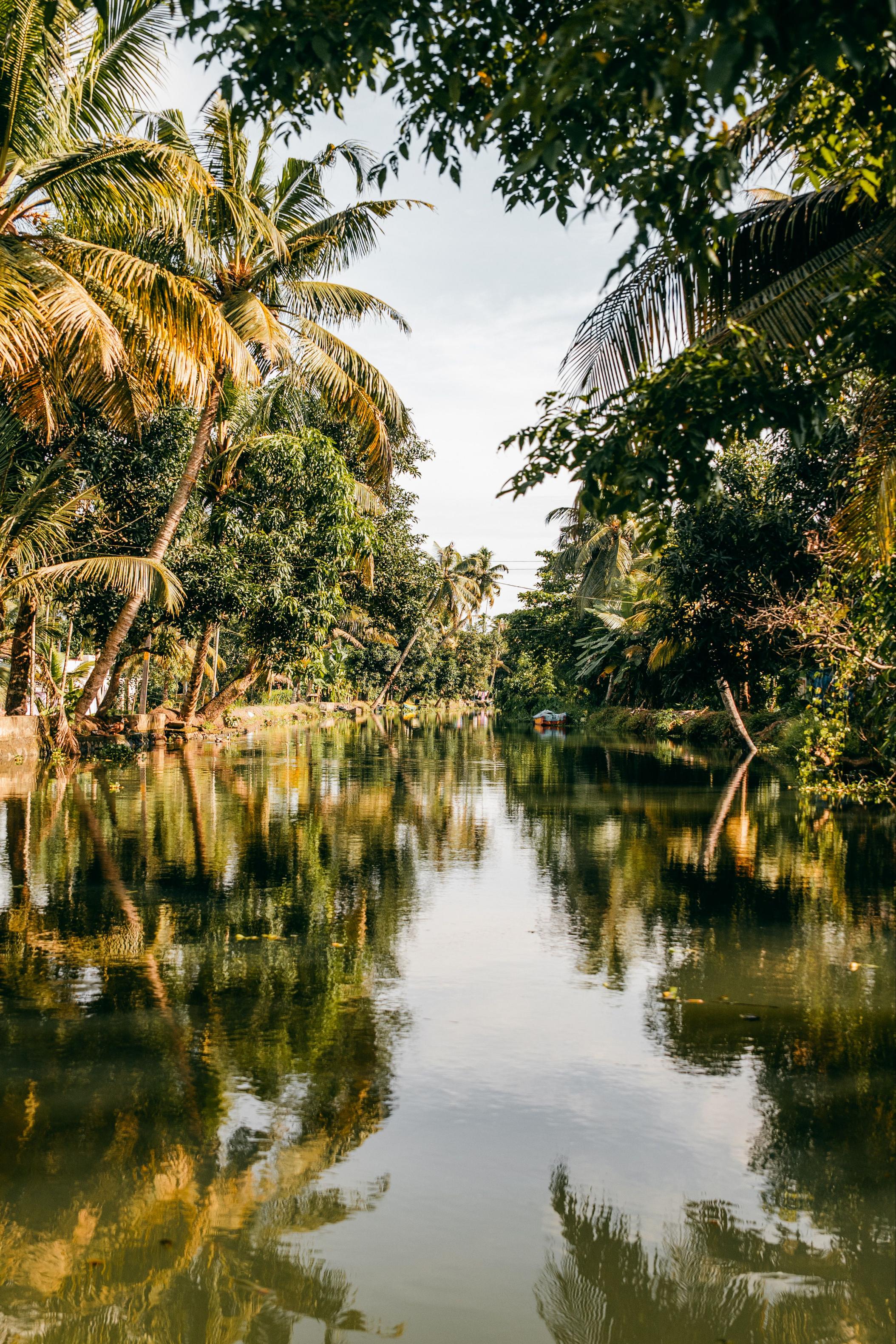 Kannur Culture and Coast photo 2