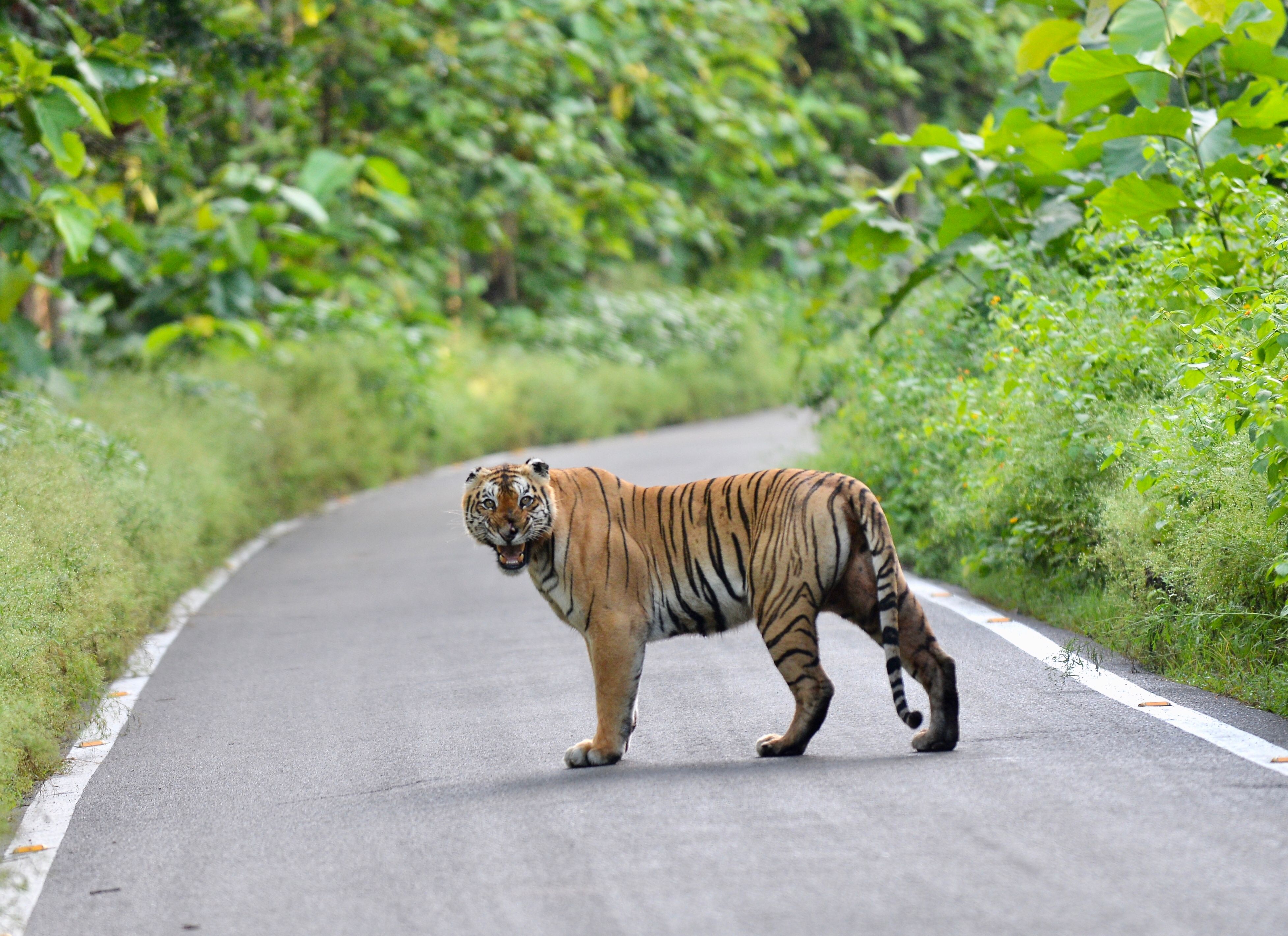 Periyar Nature Day photo 2