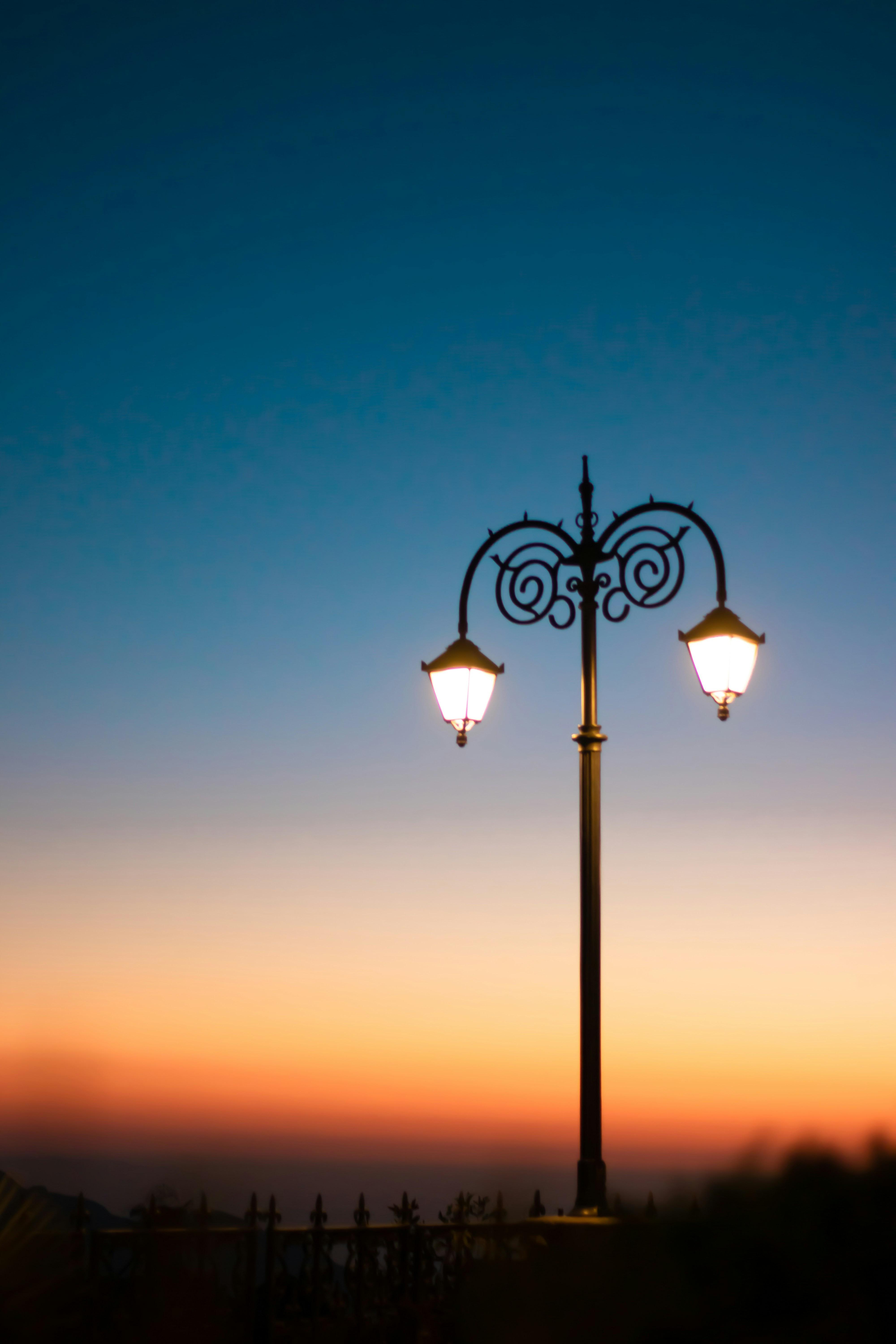 Kasauli Heritage and Nature Walks photo 2