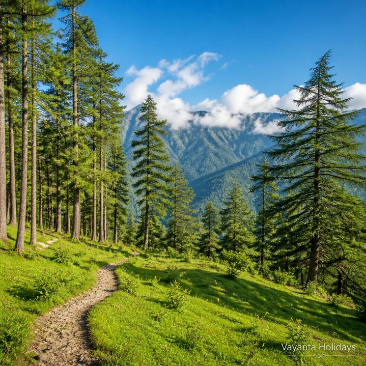 Mussoorie to Delhi
