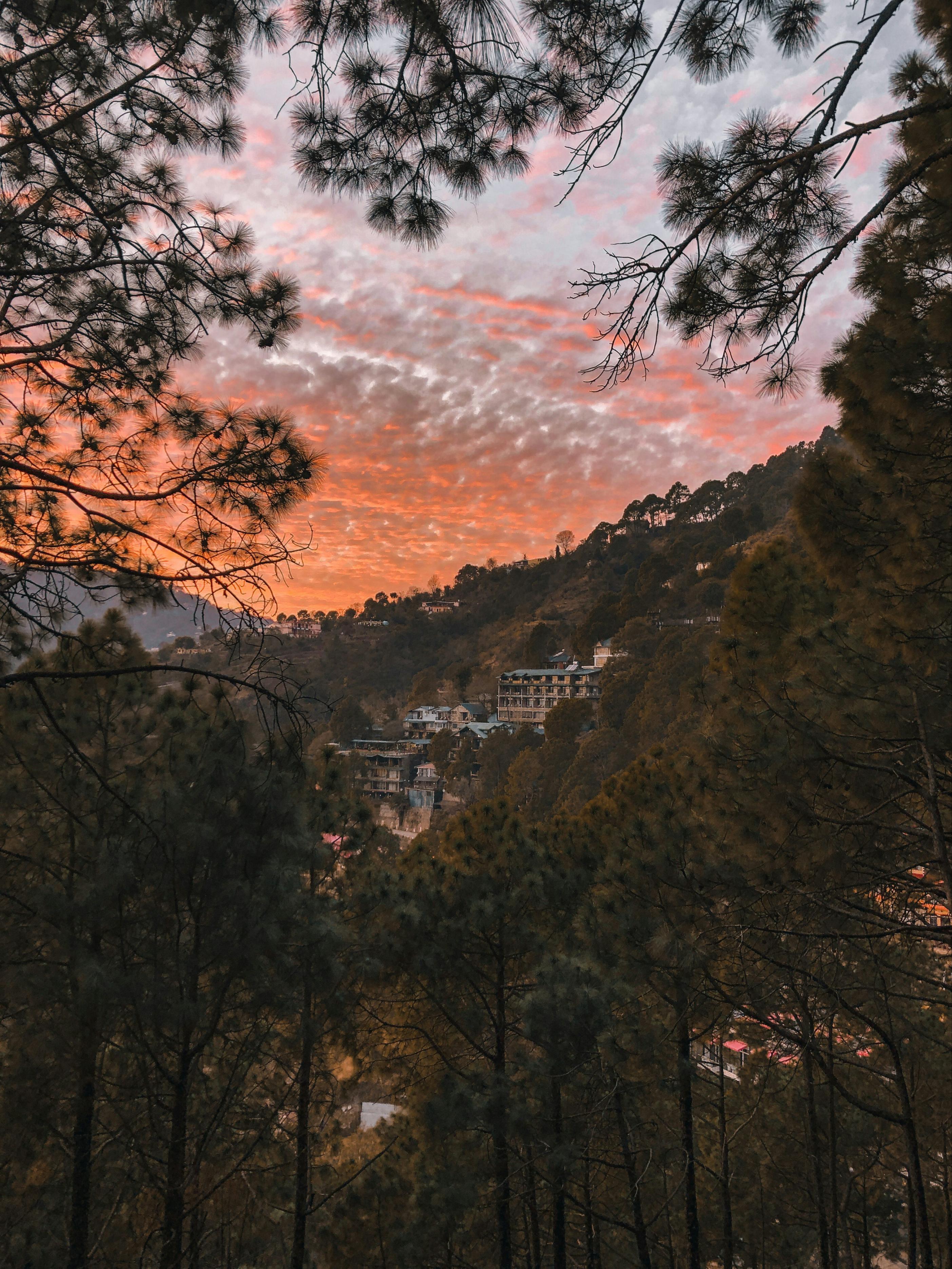 Kasauli Heritage and Nature Walks
