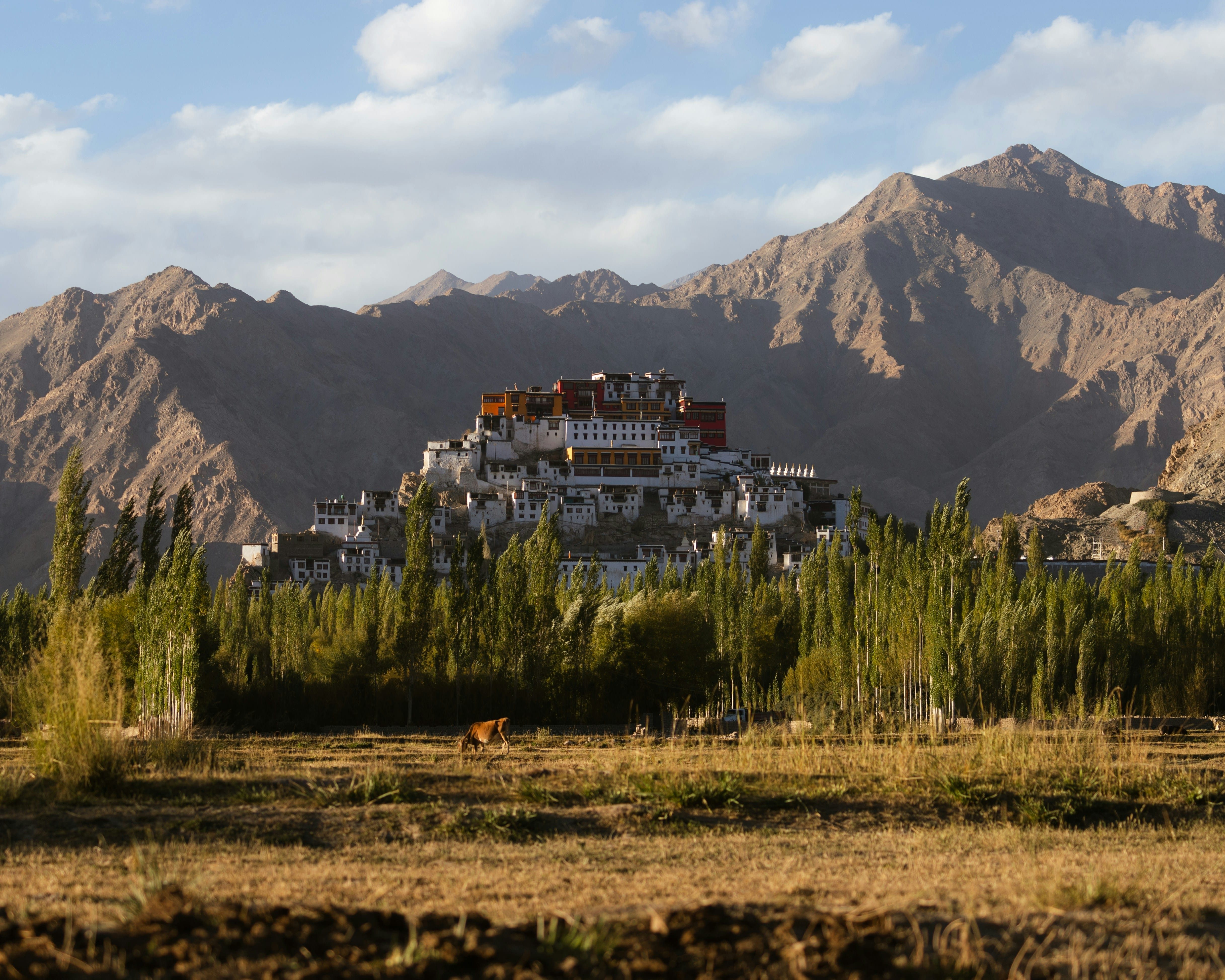 Leh Farewell photo 2