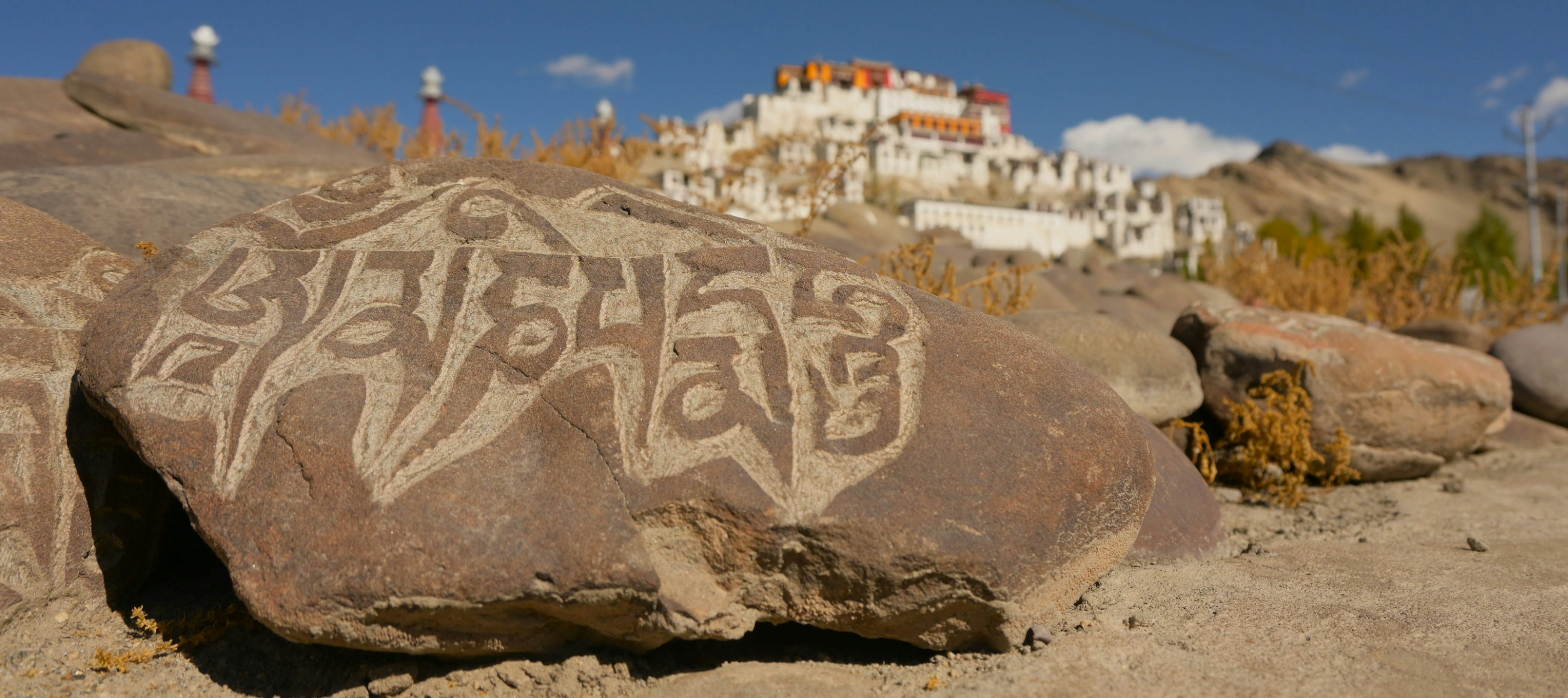 Leh Heritage and Monasteries photo 2