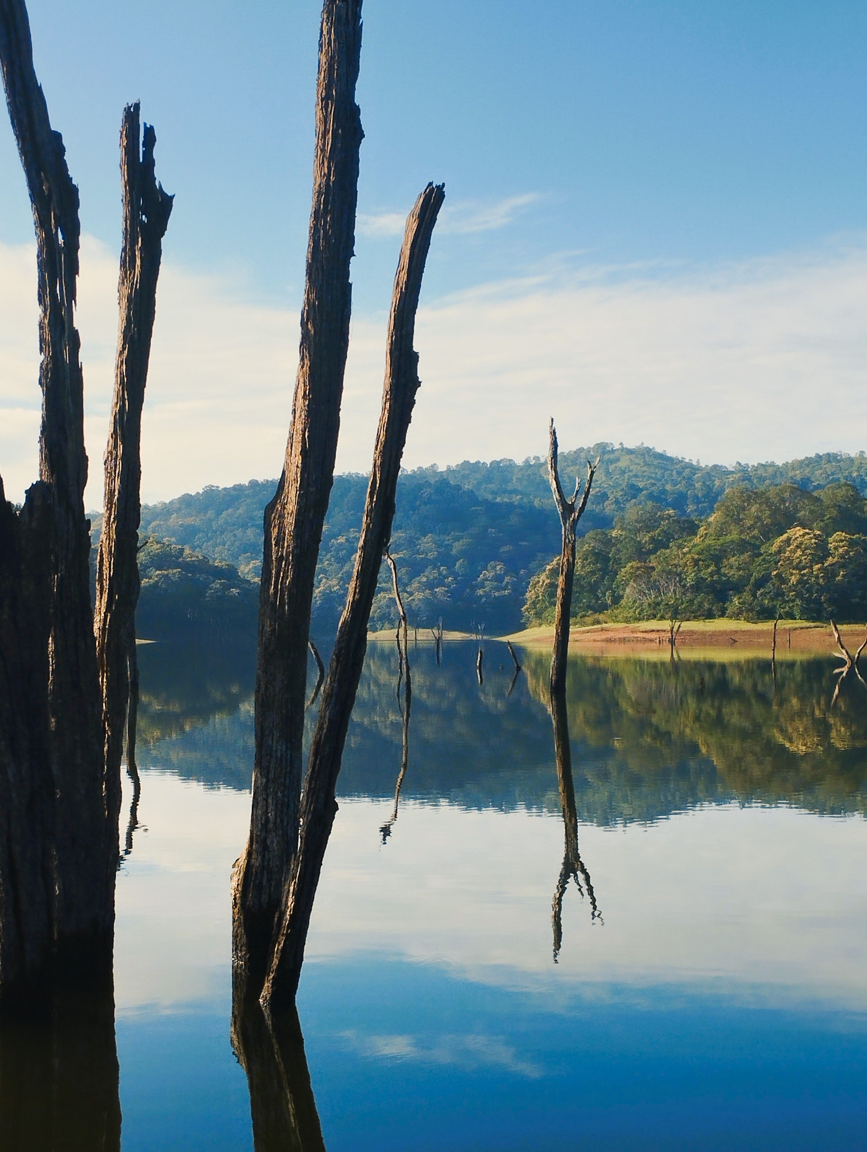 Munnar to Thekkady photo 1