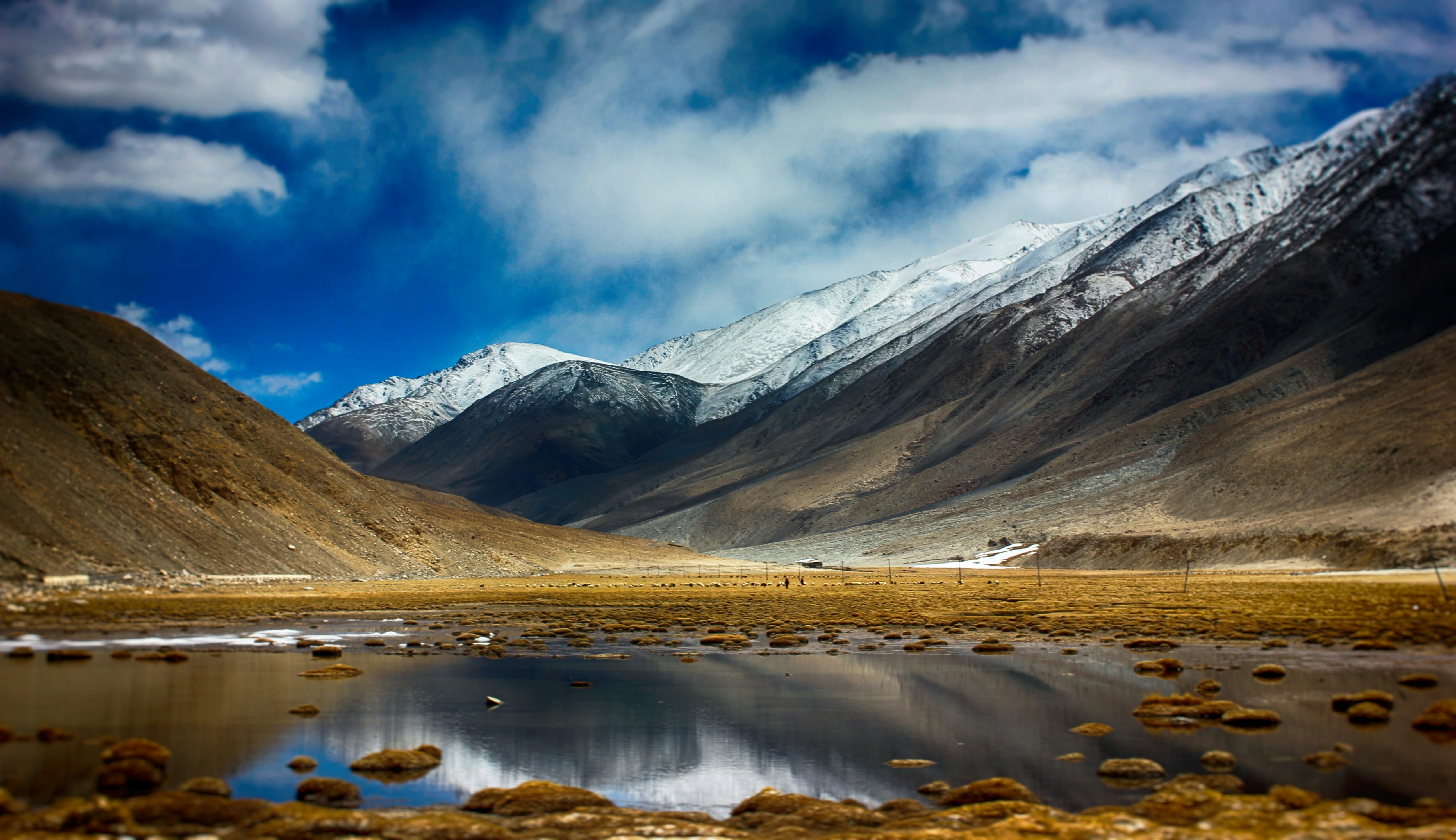 Nubra to Pangong Ride