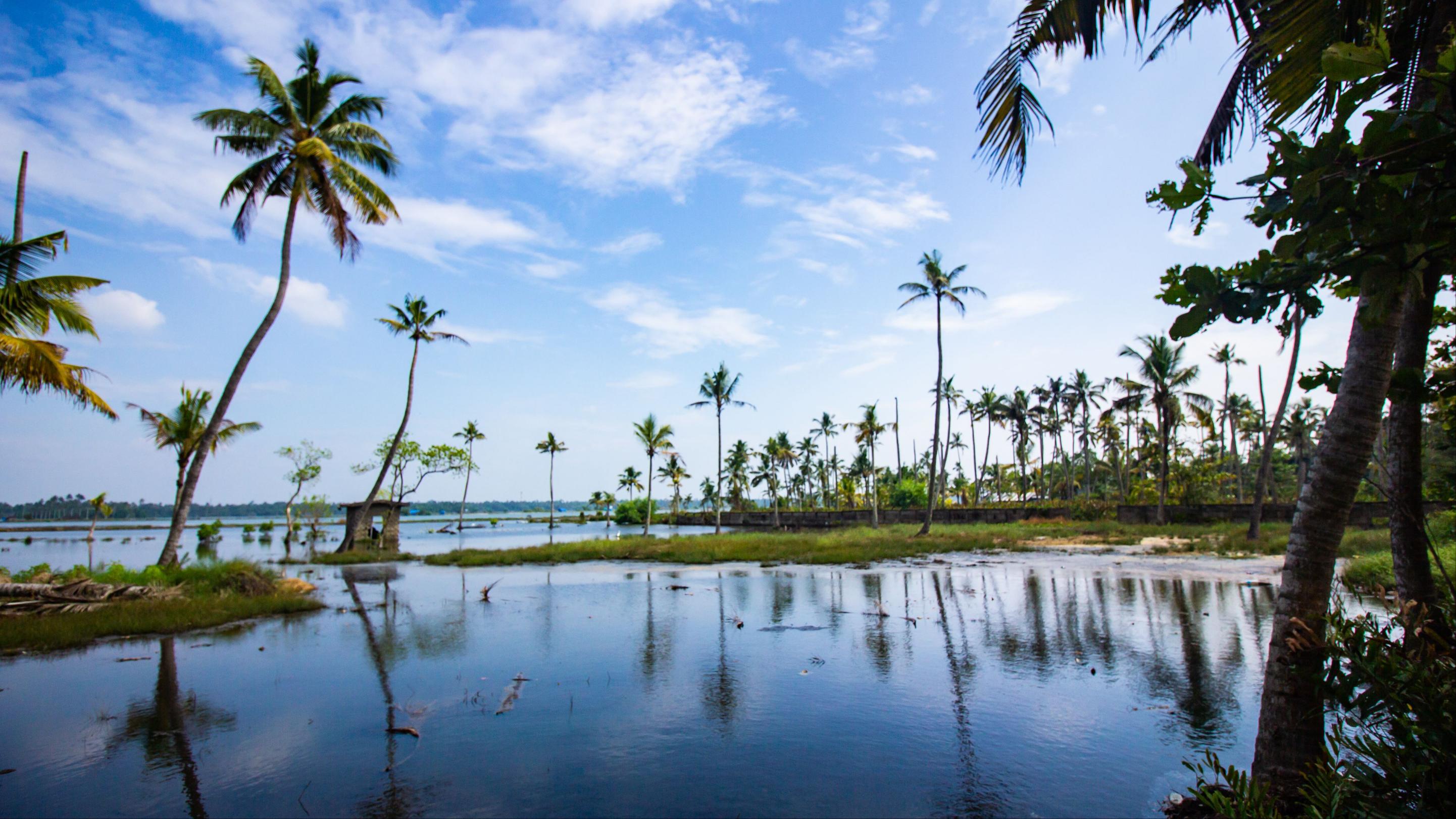 Bekal & Kannur North Kerala Explorer | 4 Nights 5 Days