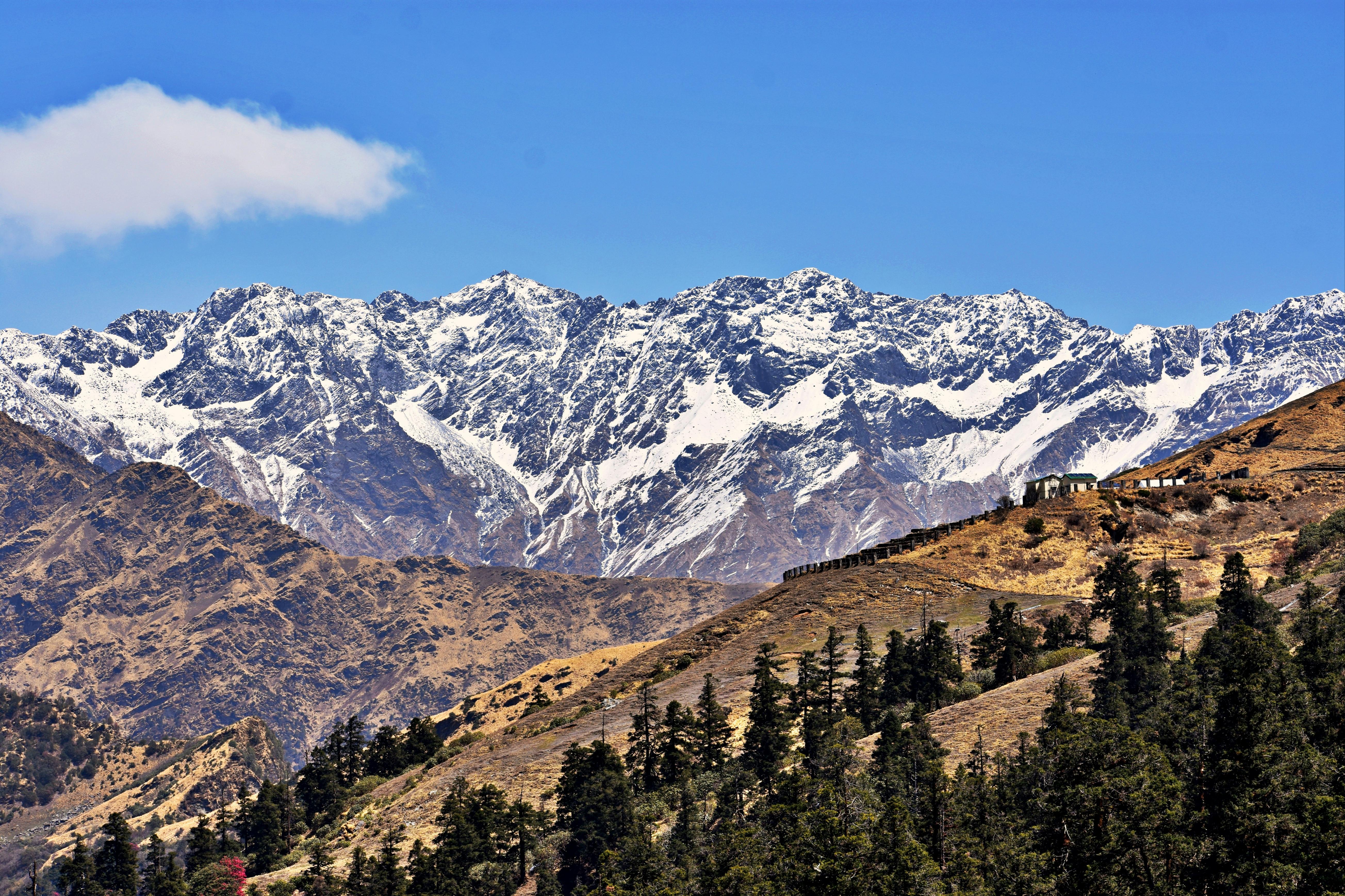 Auli Mountain Day