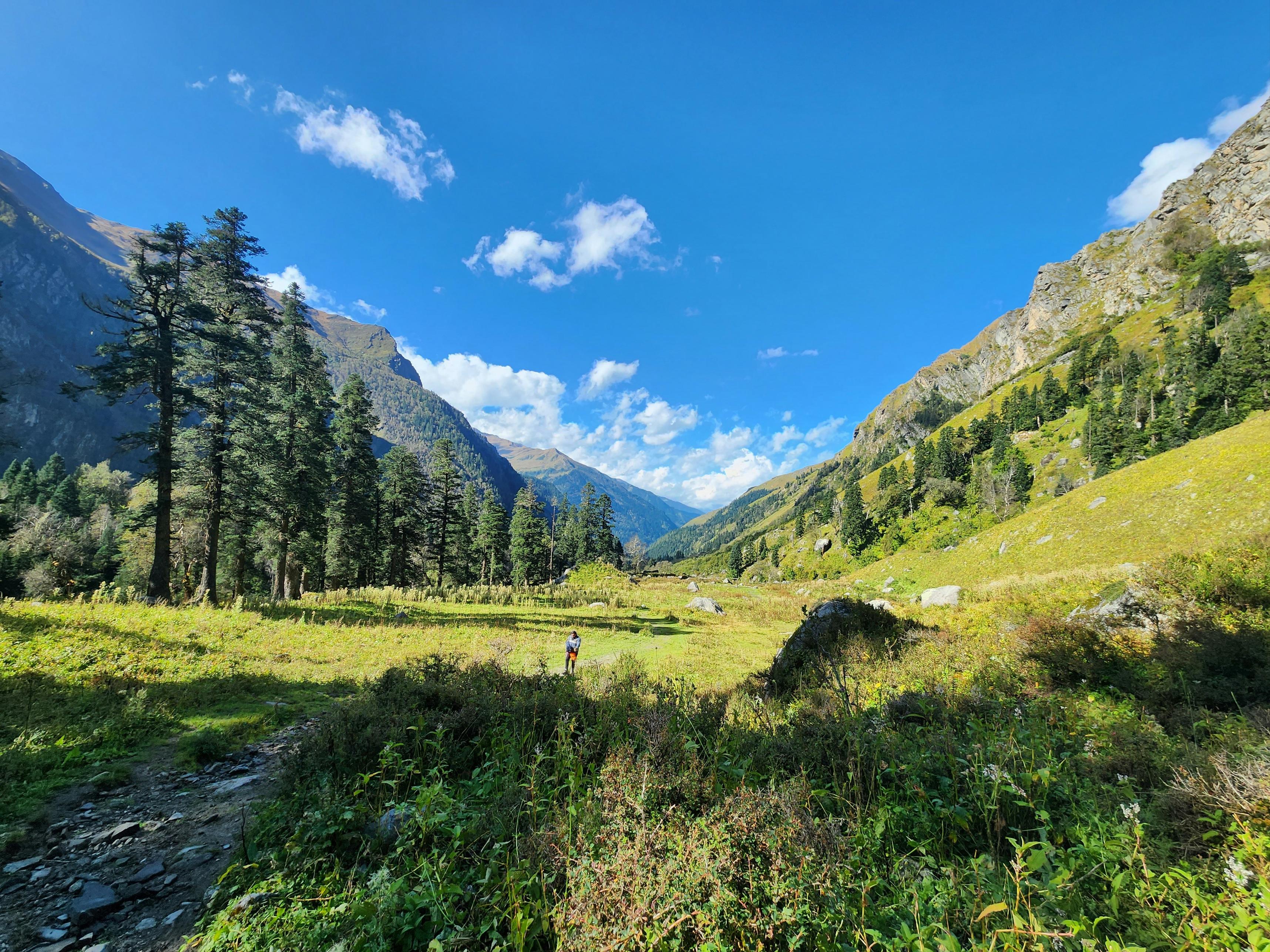 Valley of Flowers Trek