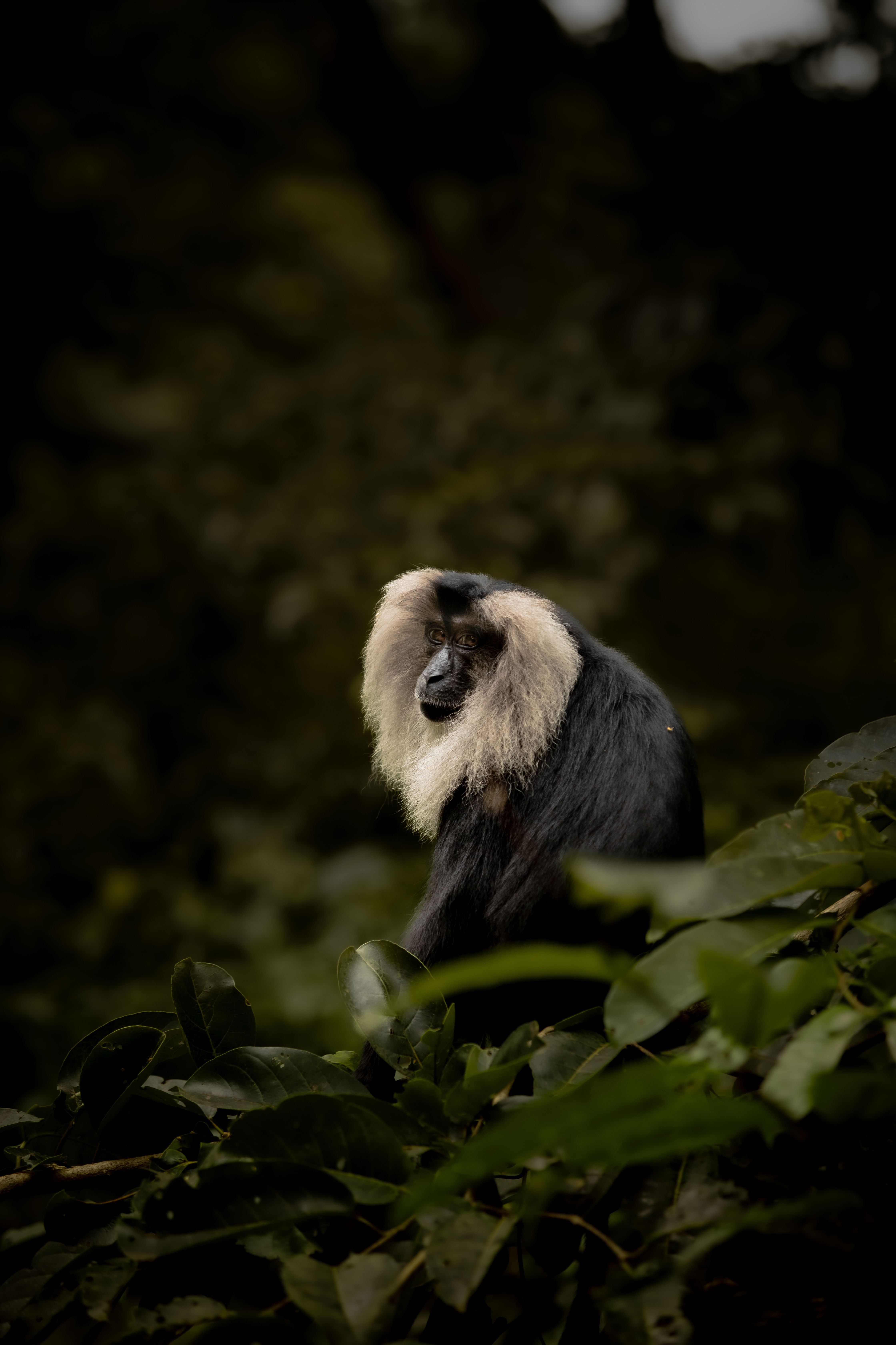 Wayanad Heritage Day photo 2