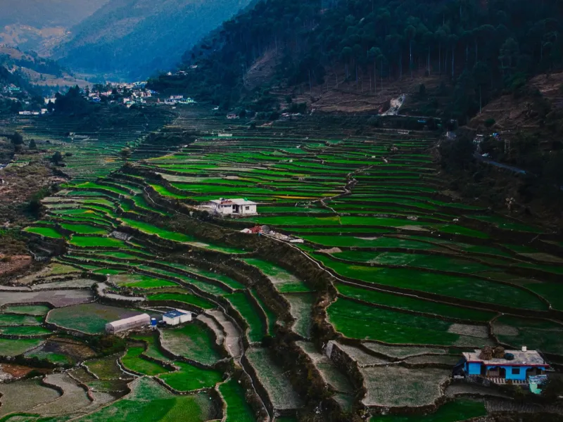 Mukteshwar & Binsar Offbeat Escape | 4 Nights 5 Days