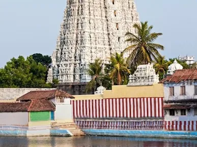 Kerala Family Discovery | 6 Nights 7 Days