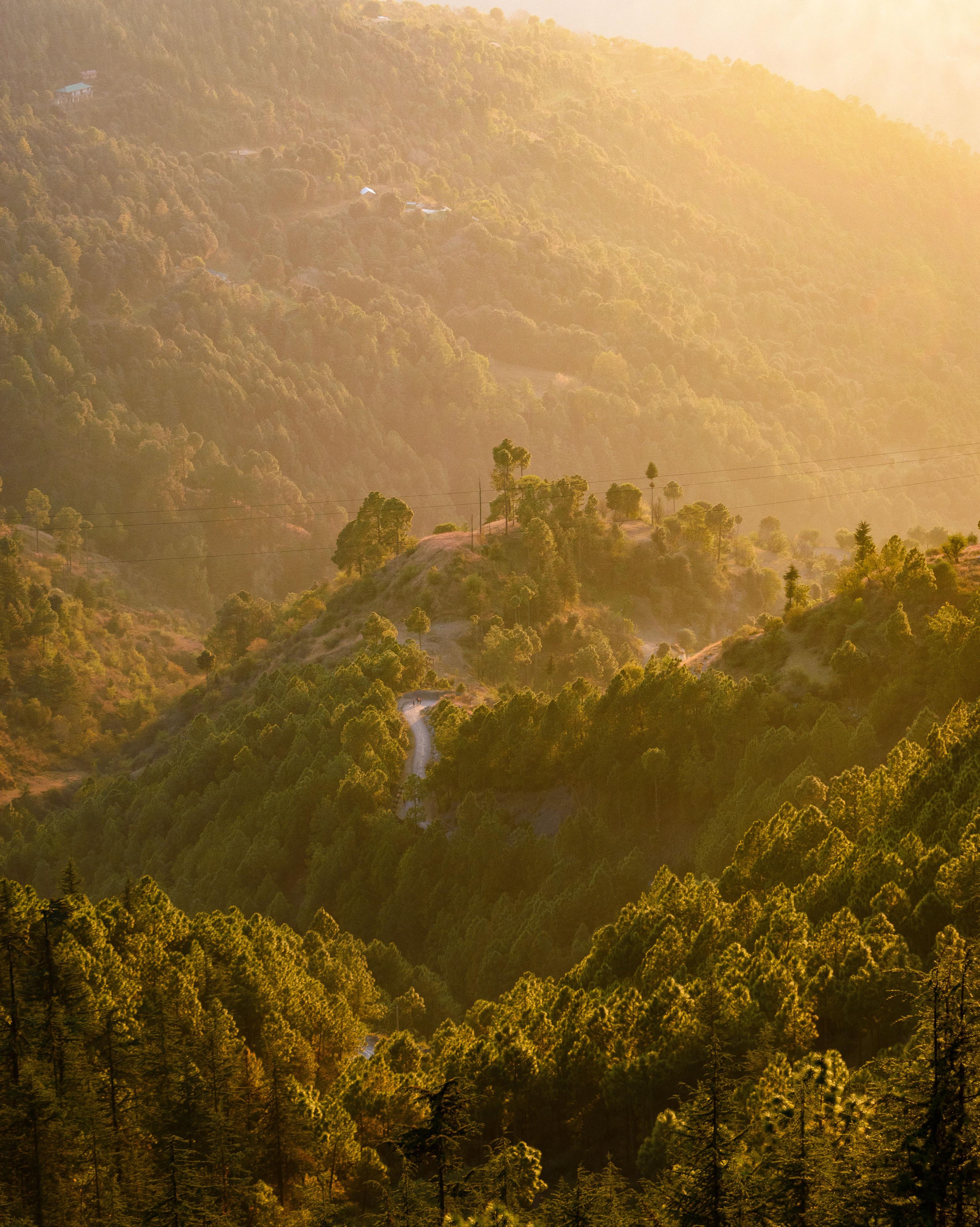 Delhi to Mukteshwar