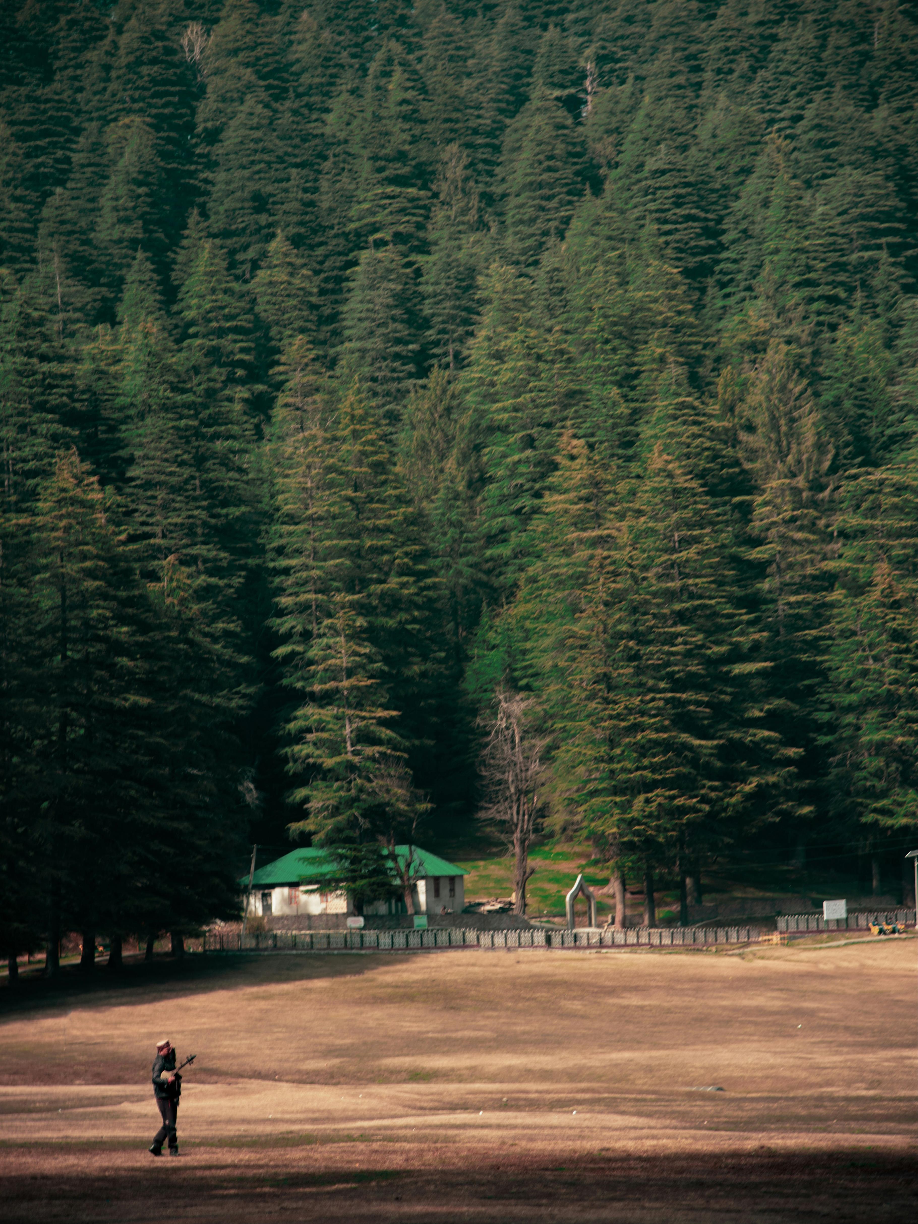 Chamba Heritage Day photo 1