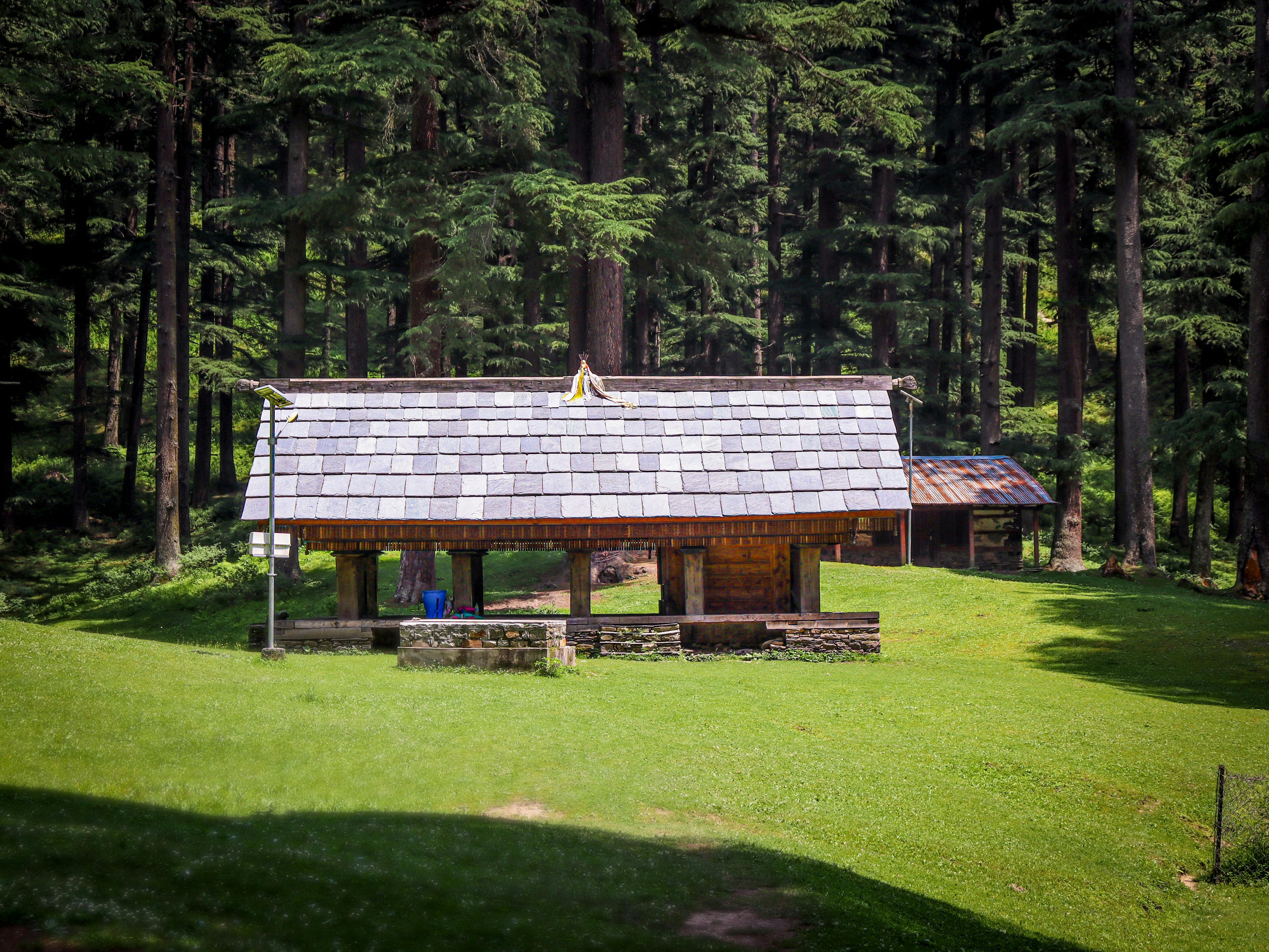 Jibhi Tirthan Valley Nature Retreat | 4 Nights 5 Days