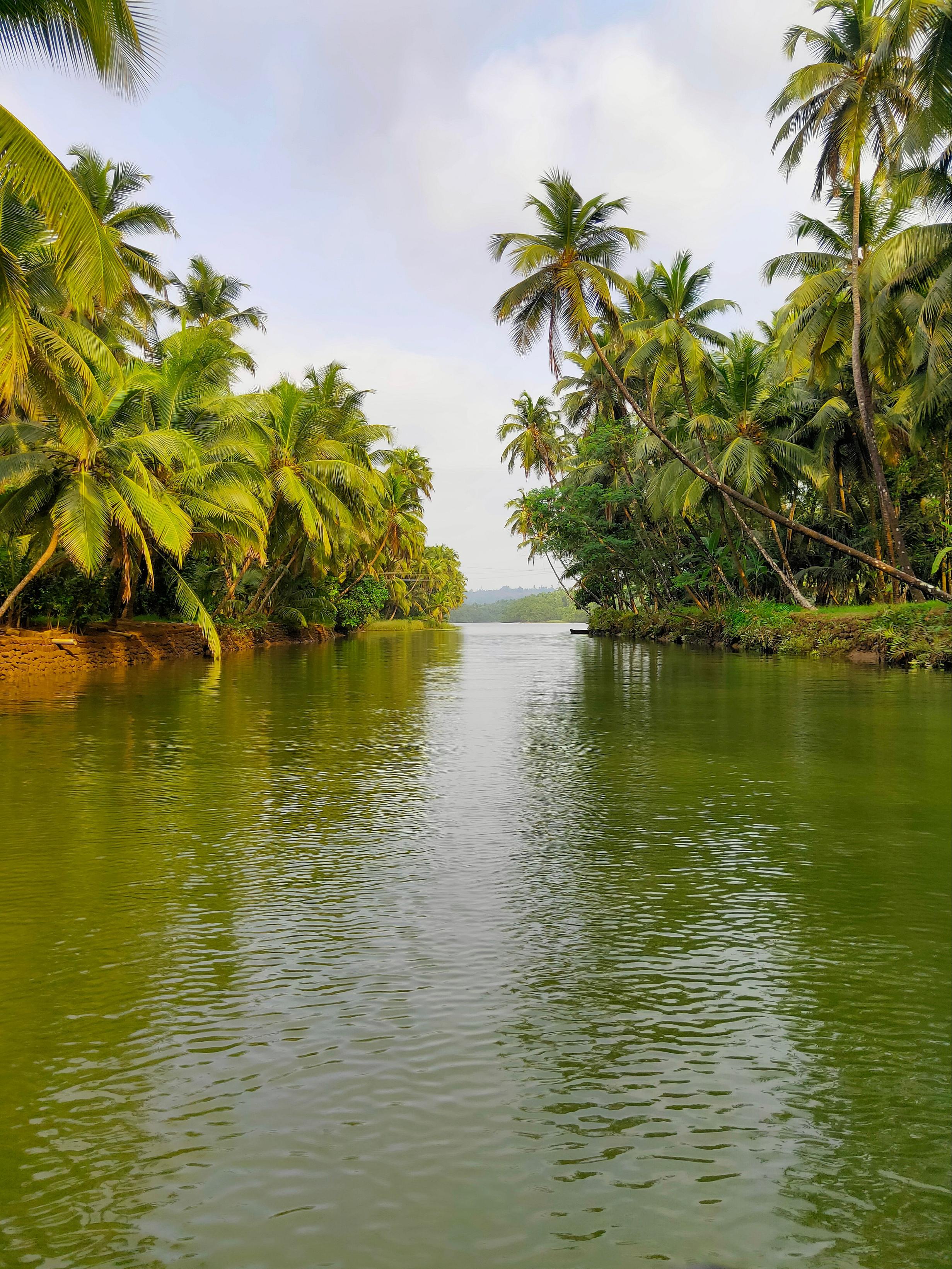 Kannur Culture and Coast photo 1