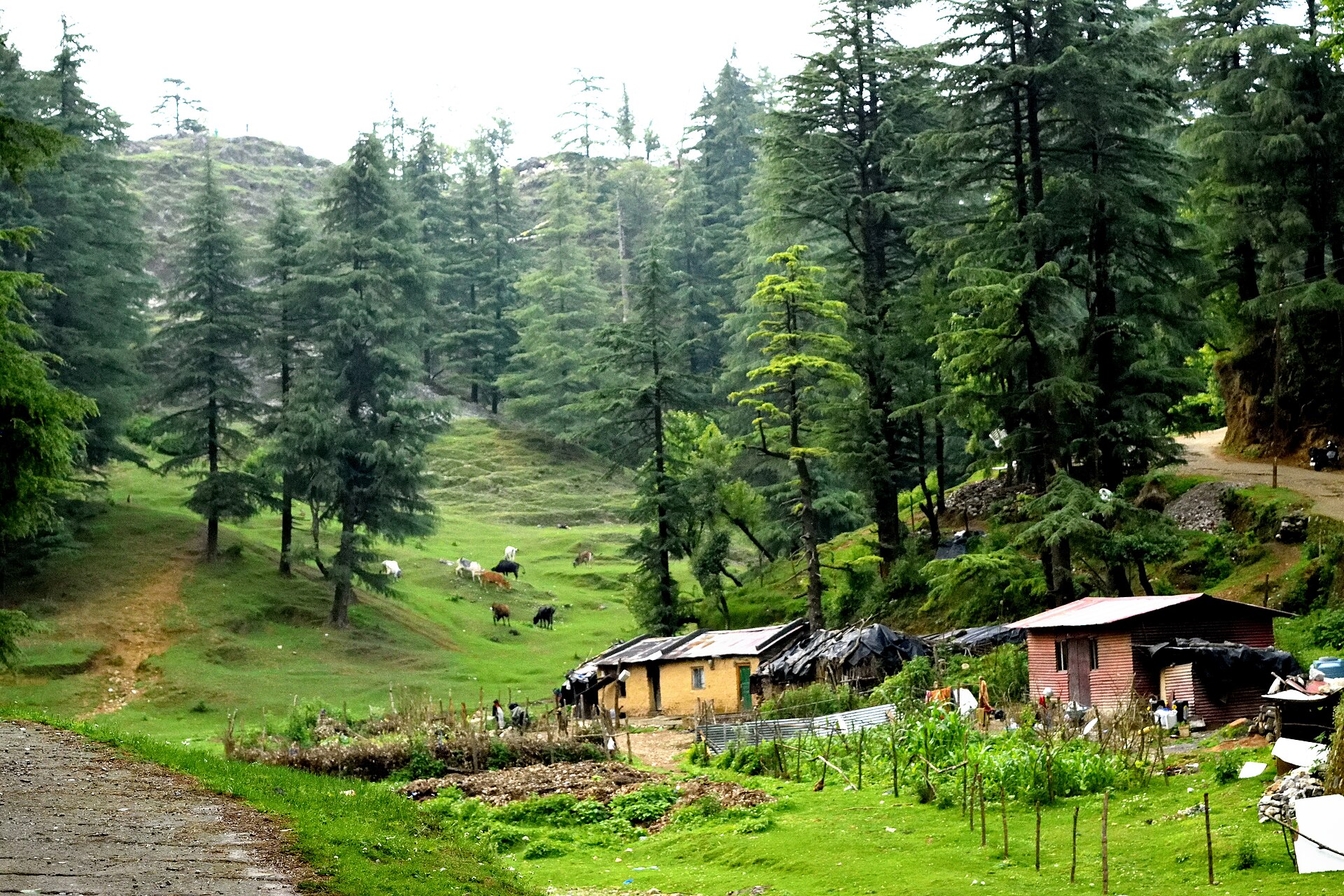 Day 4 — Rishikesh to Mussoorie – Queen of Hills