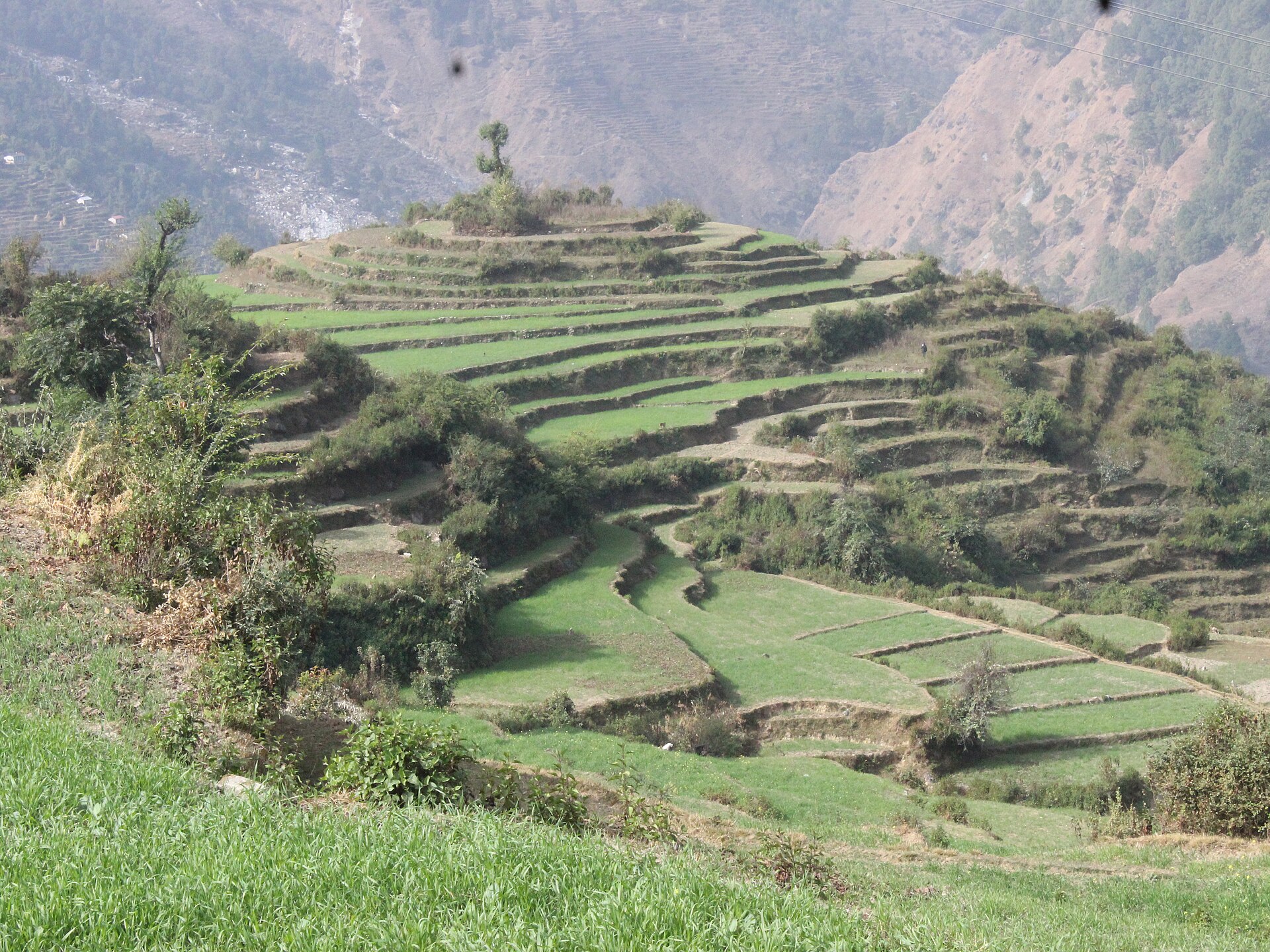 Day 1 — Kathgodam to Munsiyari