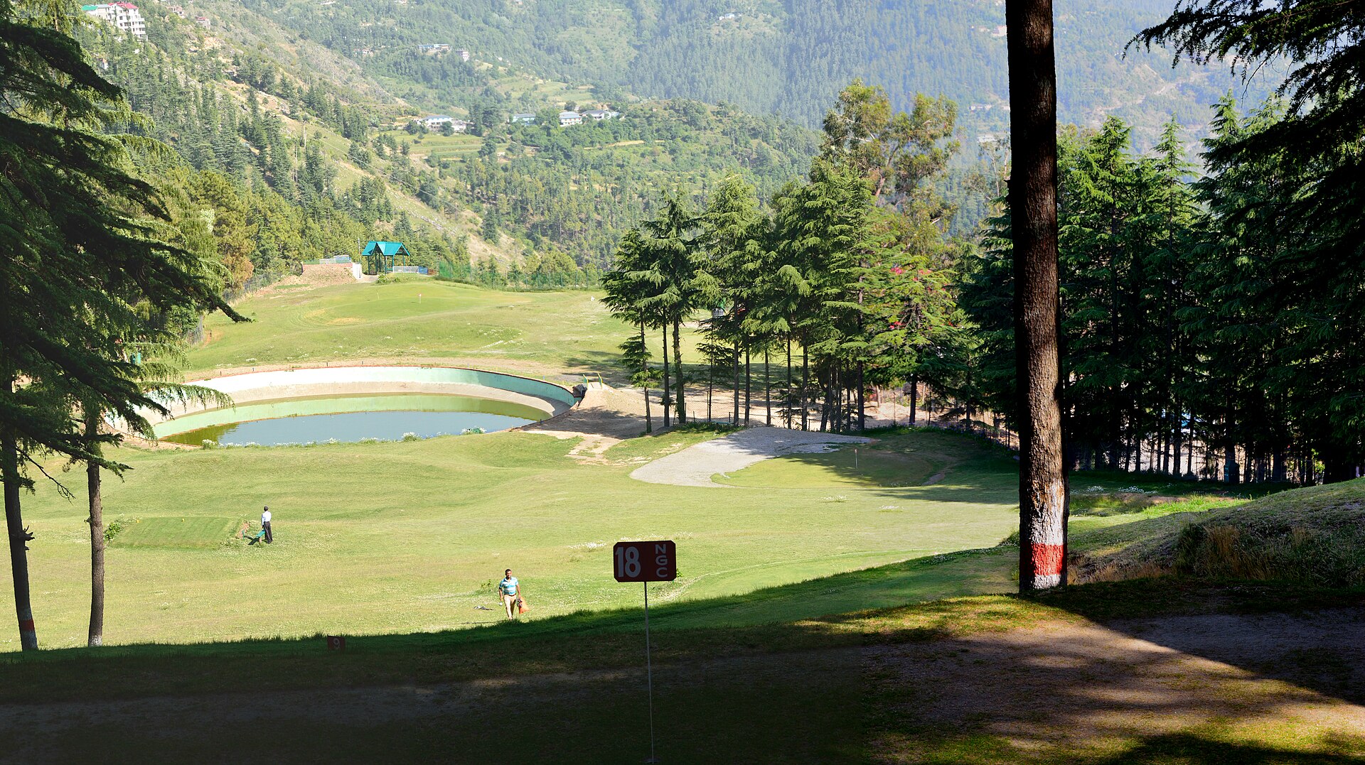 Day 3 — Naldehra Golf Course & Forest Valley Drive