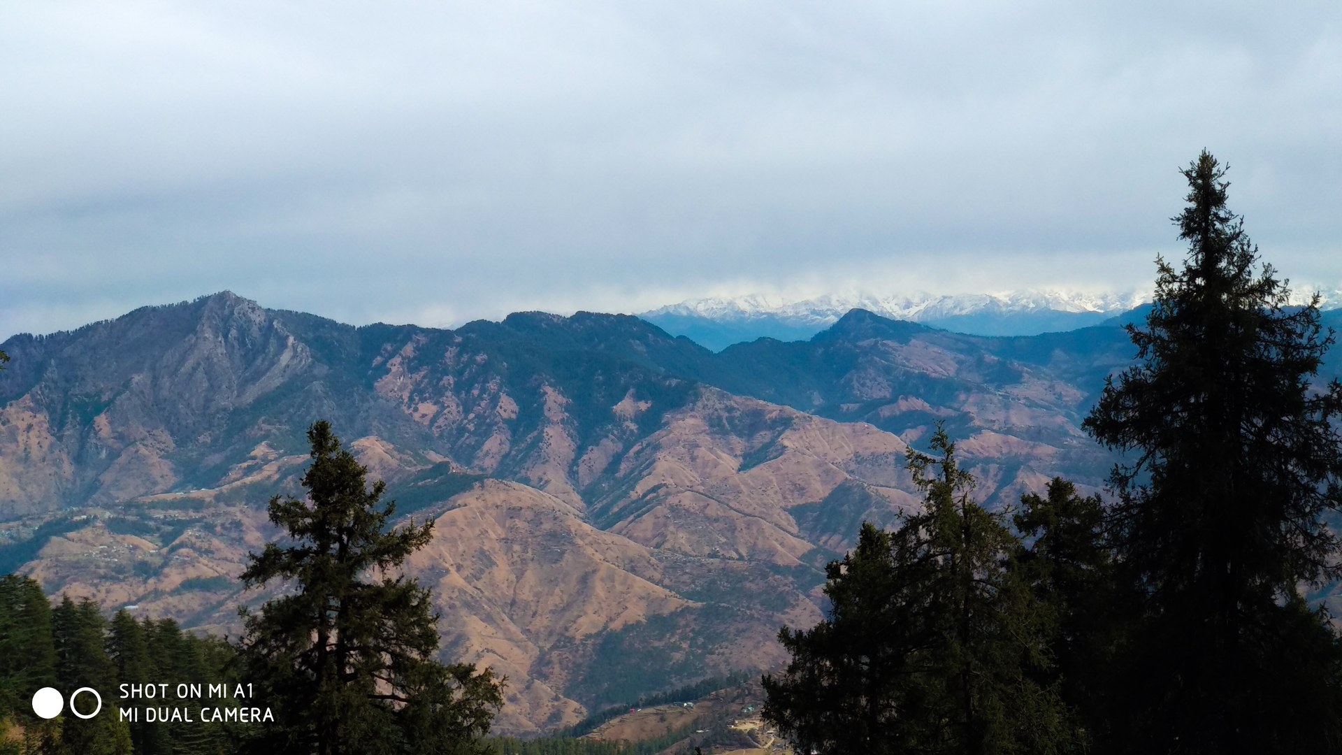 Day 2 — Shimla and Kufri Sightseeing – Hills, Views and Colonial Charm