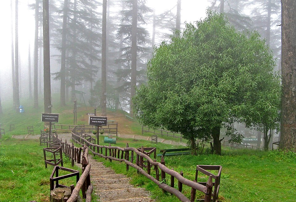 Mussoorie – Dhanaulti – Kanatal Tour 4D/3N