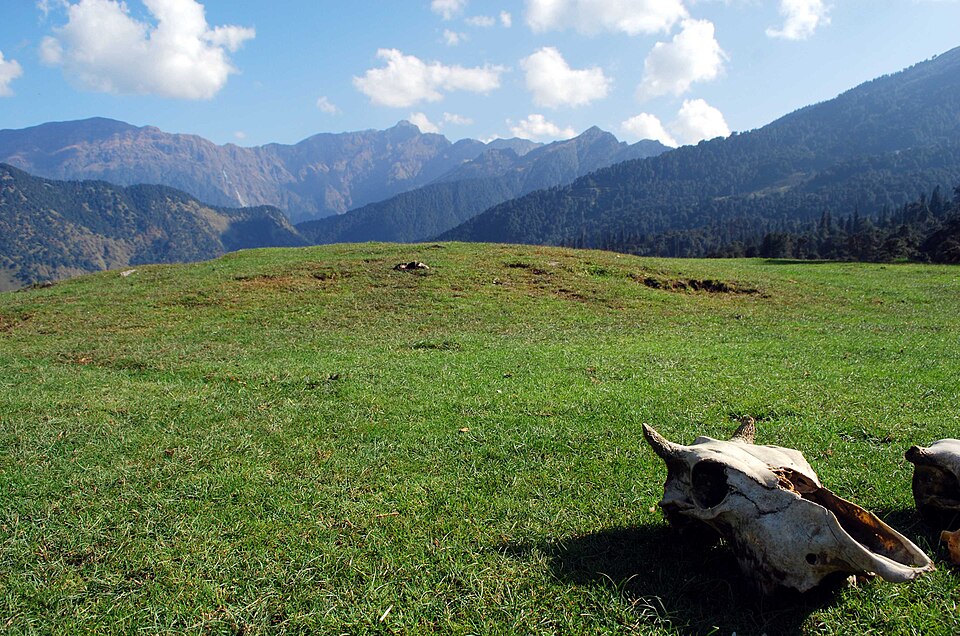 Chopta & Tungnath Trek