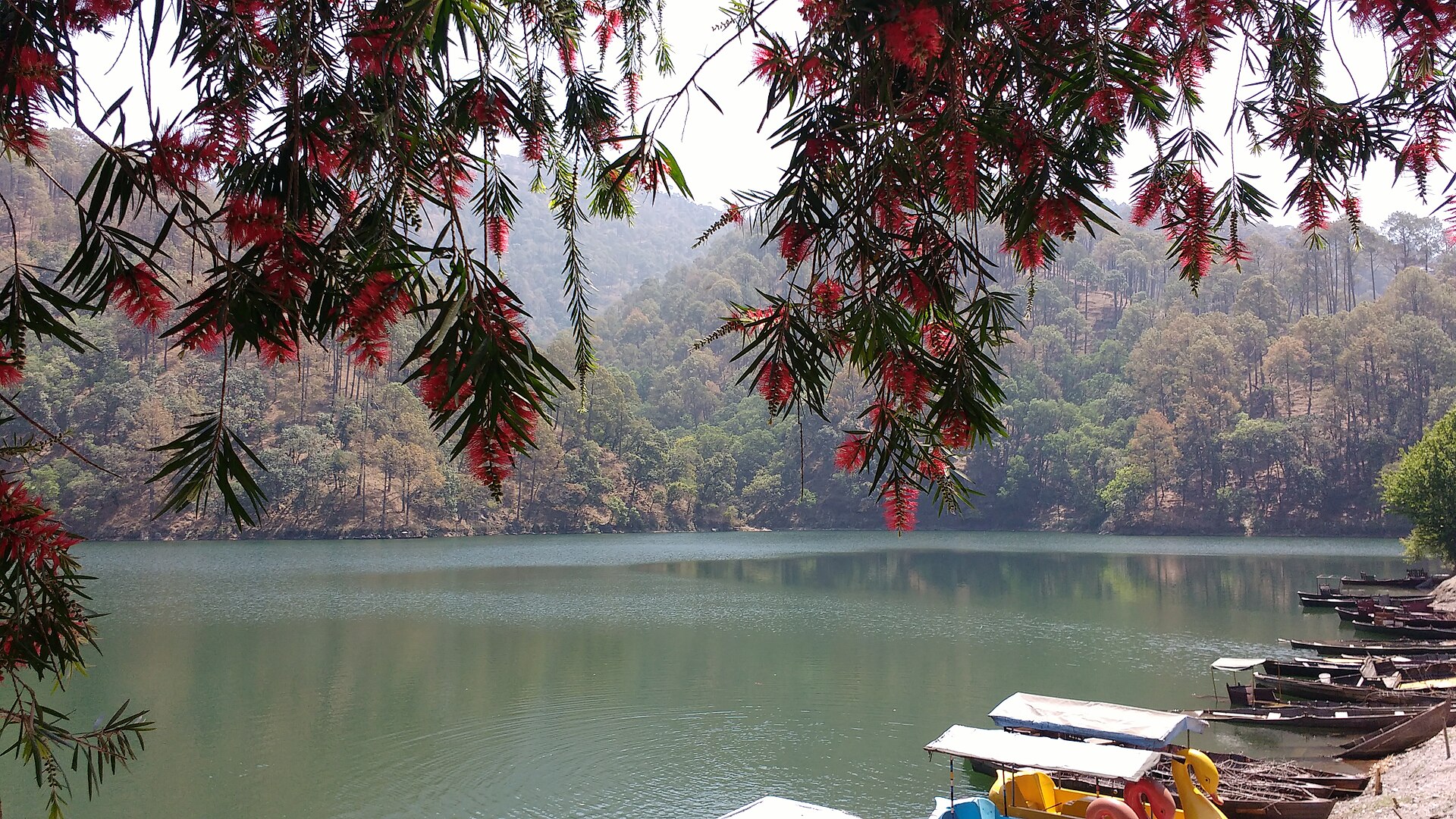 Day 7 — Kausani Departure