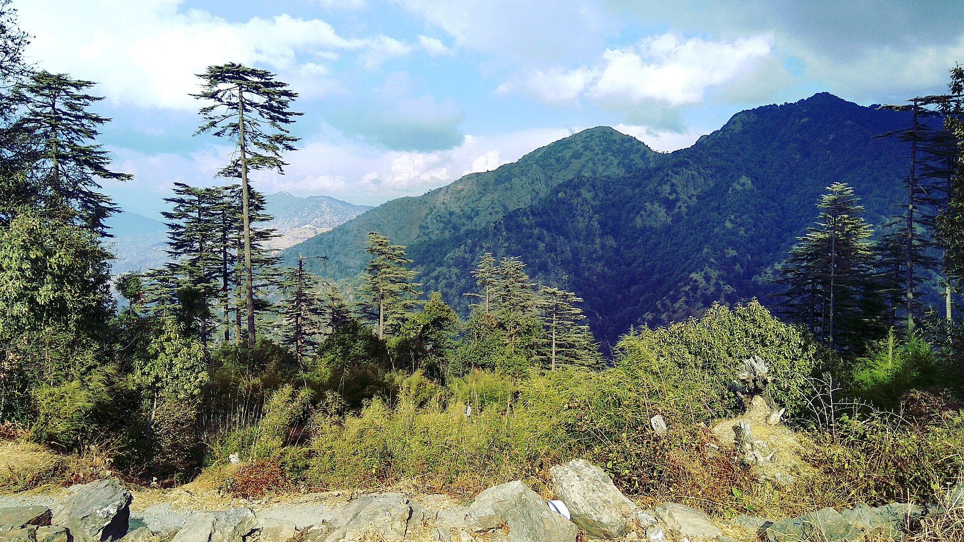 Mountain View from Dhanaulti Eco Park