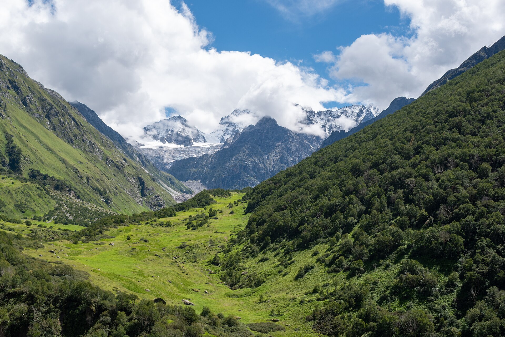 Valley of Flowers & Hemkund Sahib