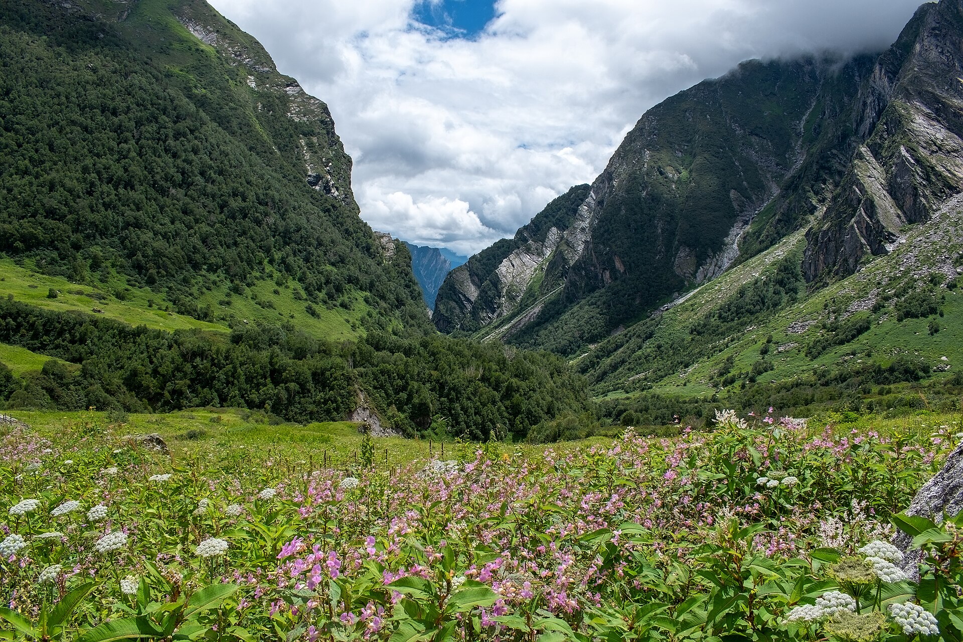 Valley of Flowers & Hemkund Sahib Main Image 4